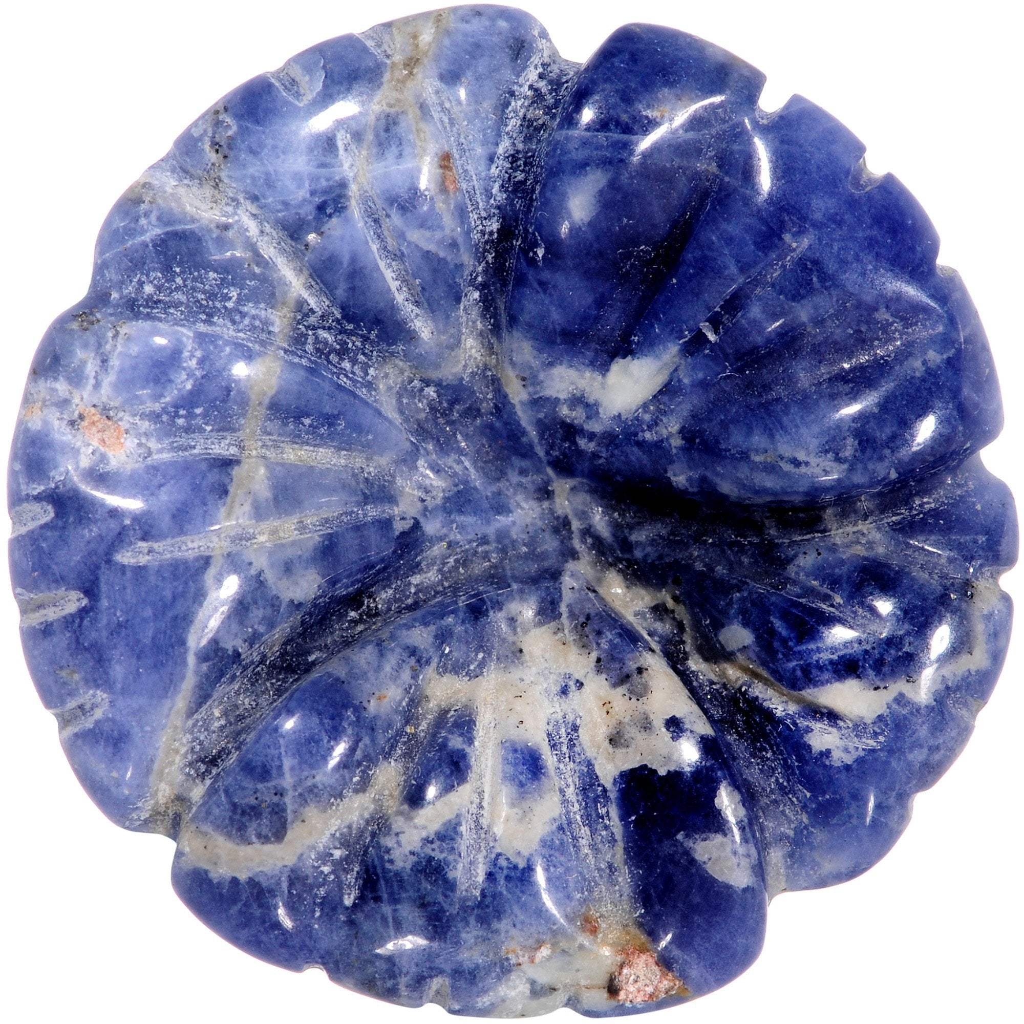 Natural Blue Sodalite Tropical Flower Single Flare Plug Set Sizes 6mm to 25mm