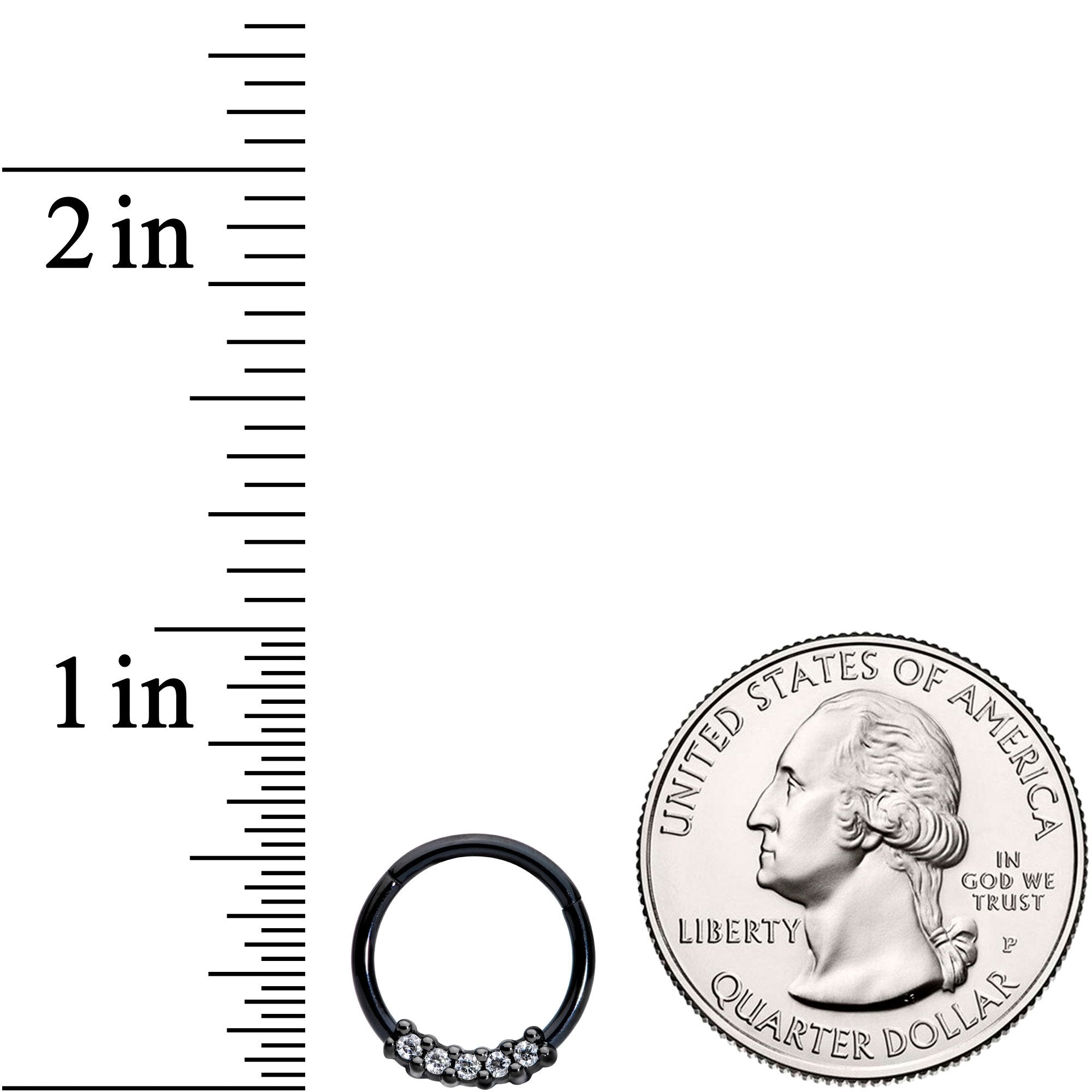 16 Gauge 3/8 Clear CZ Gem Black Hinged Segment Ring