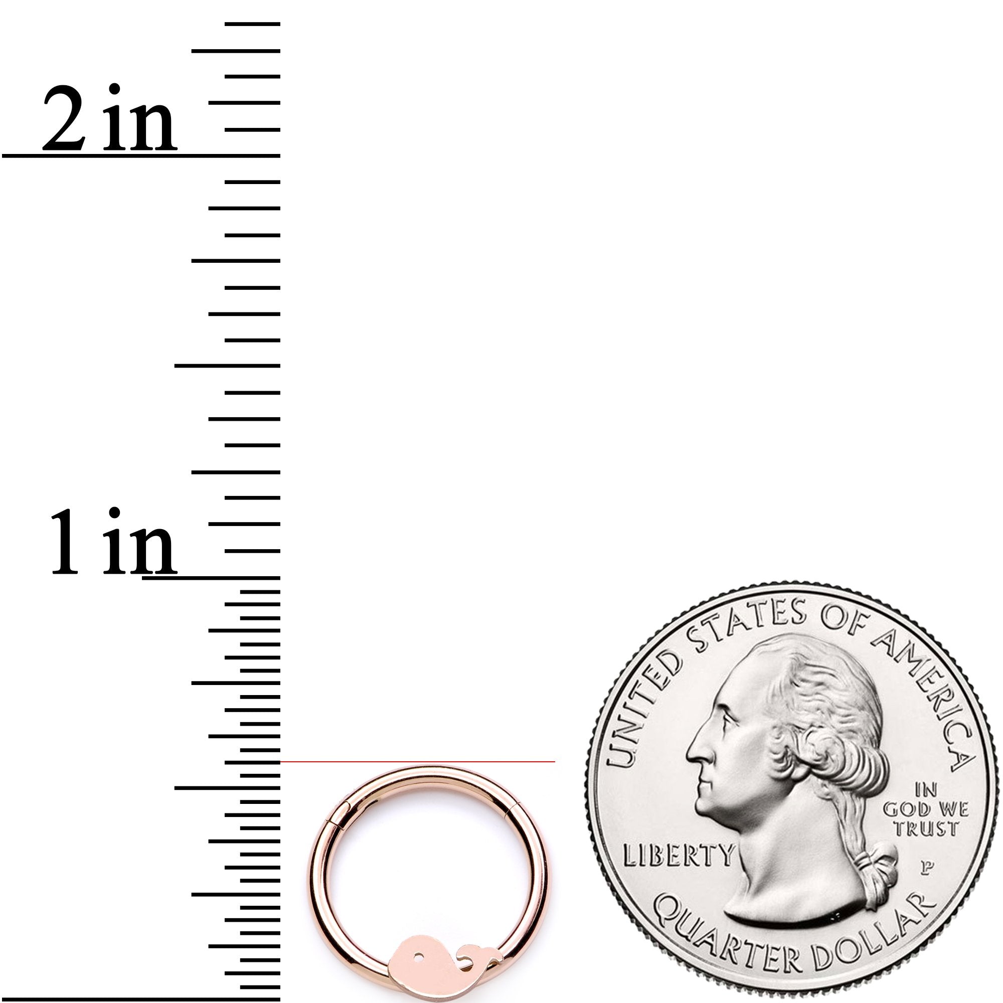 16G 3/8 Rose Gold Whale of a Hinged Segment Ring