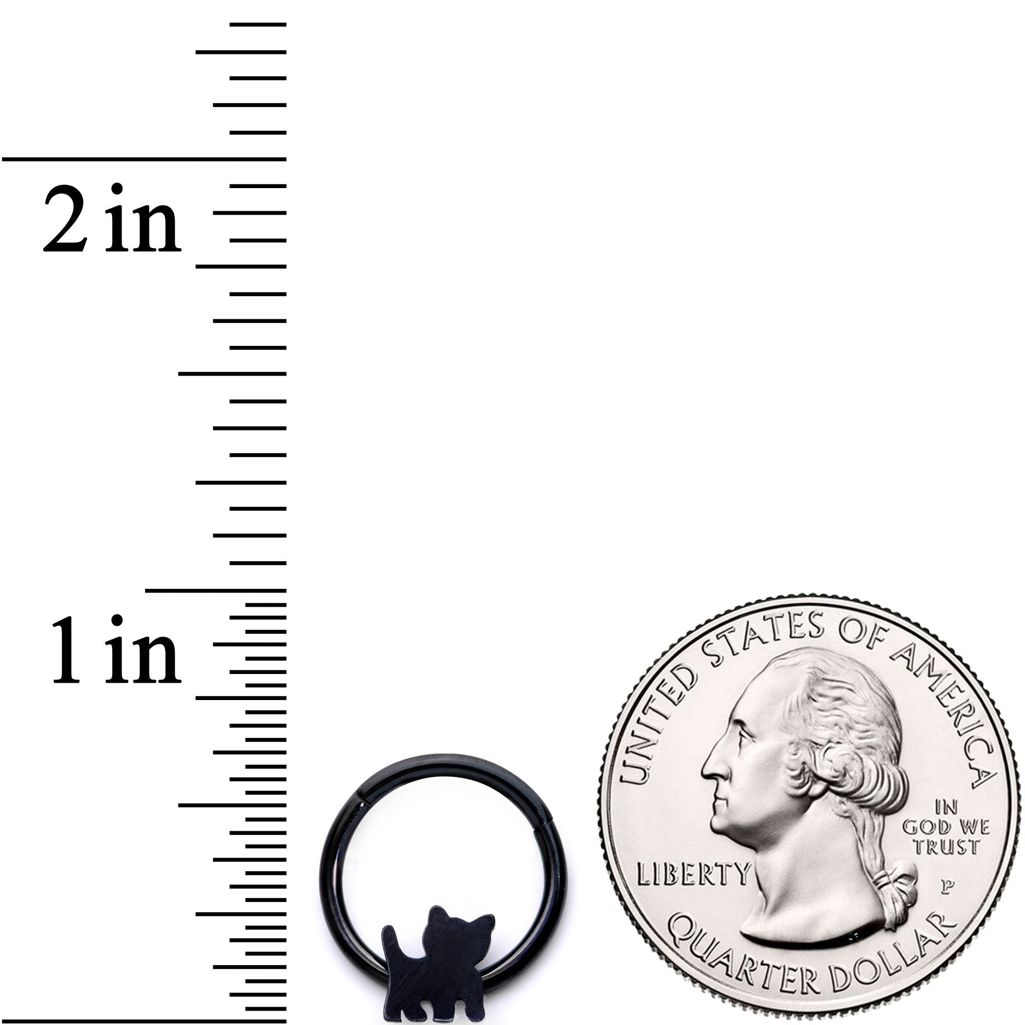 16G 3/8 Black Kitty Cat Hinged Segment Ring