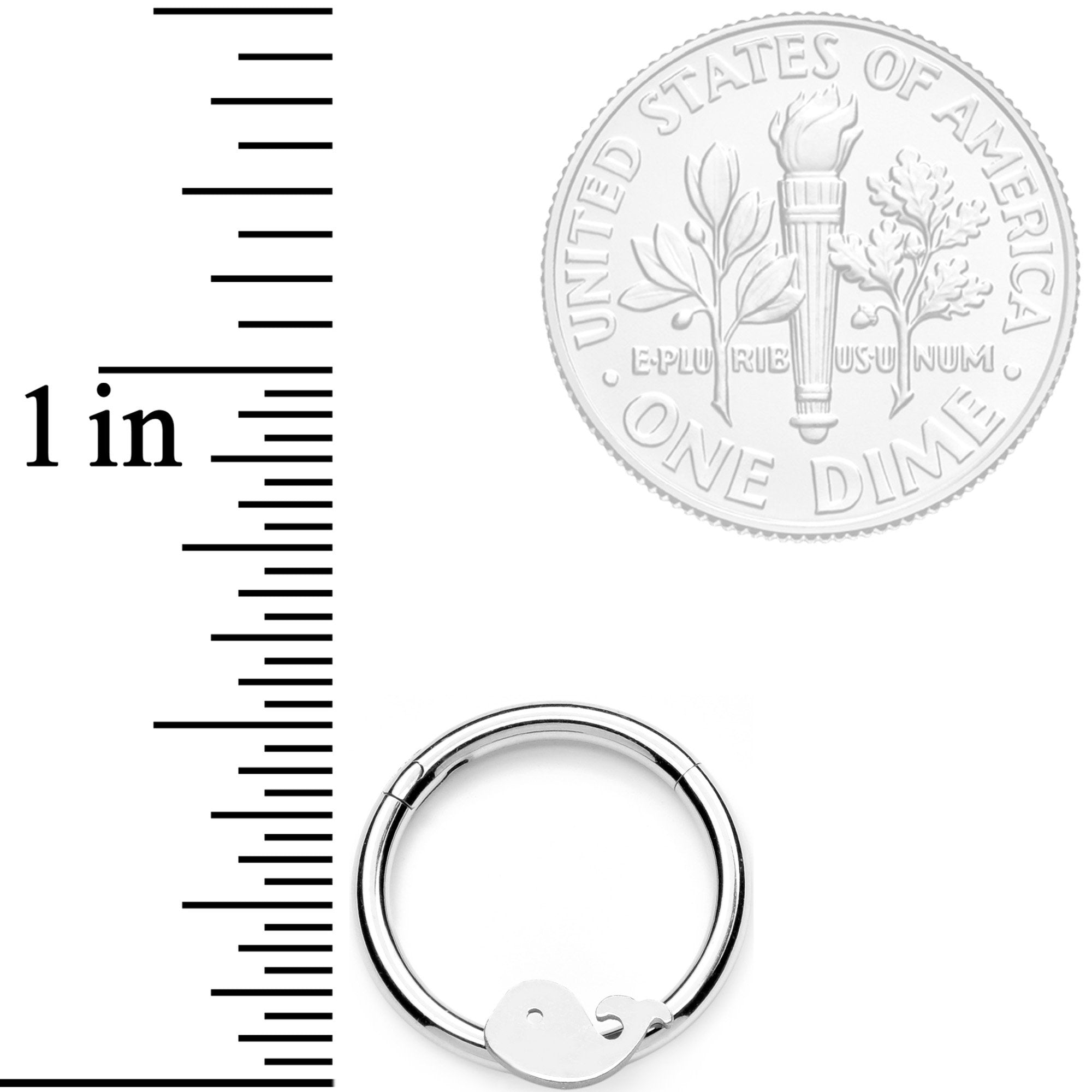 16G 3/8 Whale of a Hinged Segment Ring