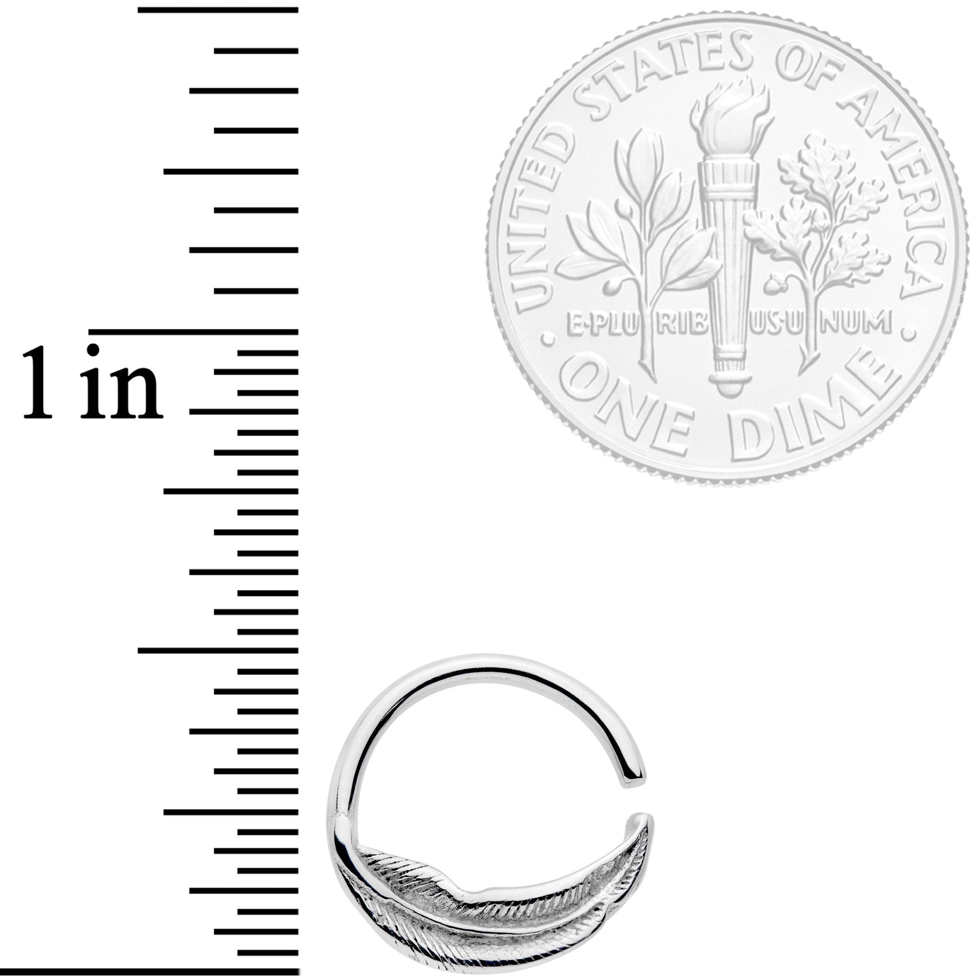 16G 3/8 Falling Feather Seamless Circular Ring