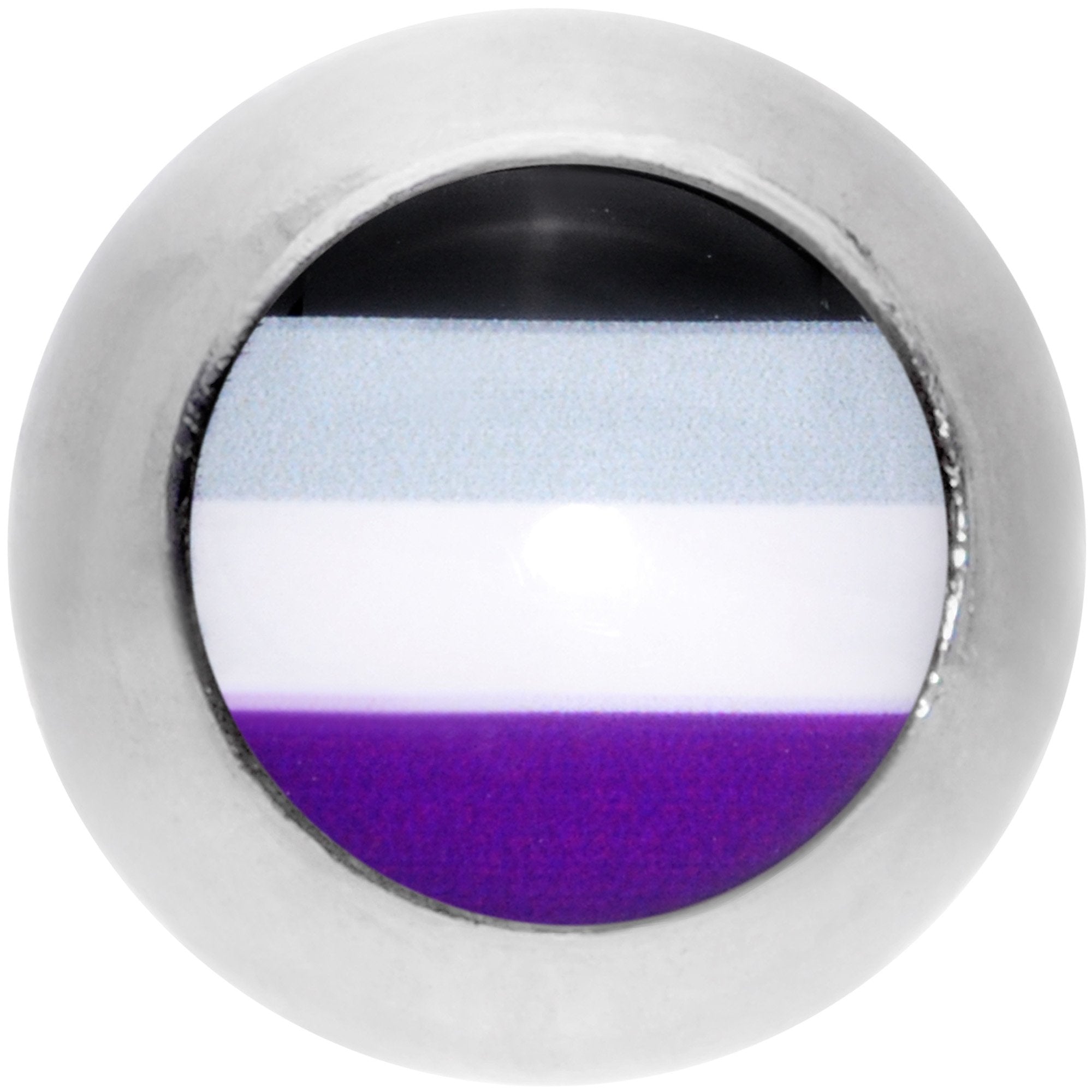 16 Gauge 1/4 Black Grey Purple Asexual Pride Flag Cartilage Tragus