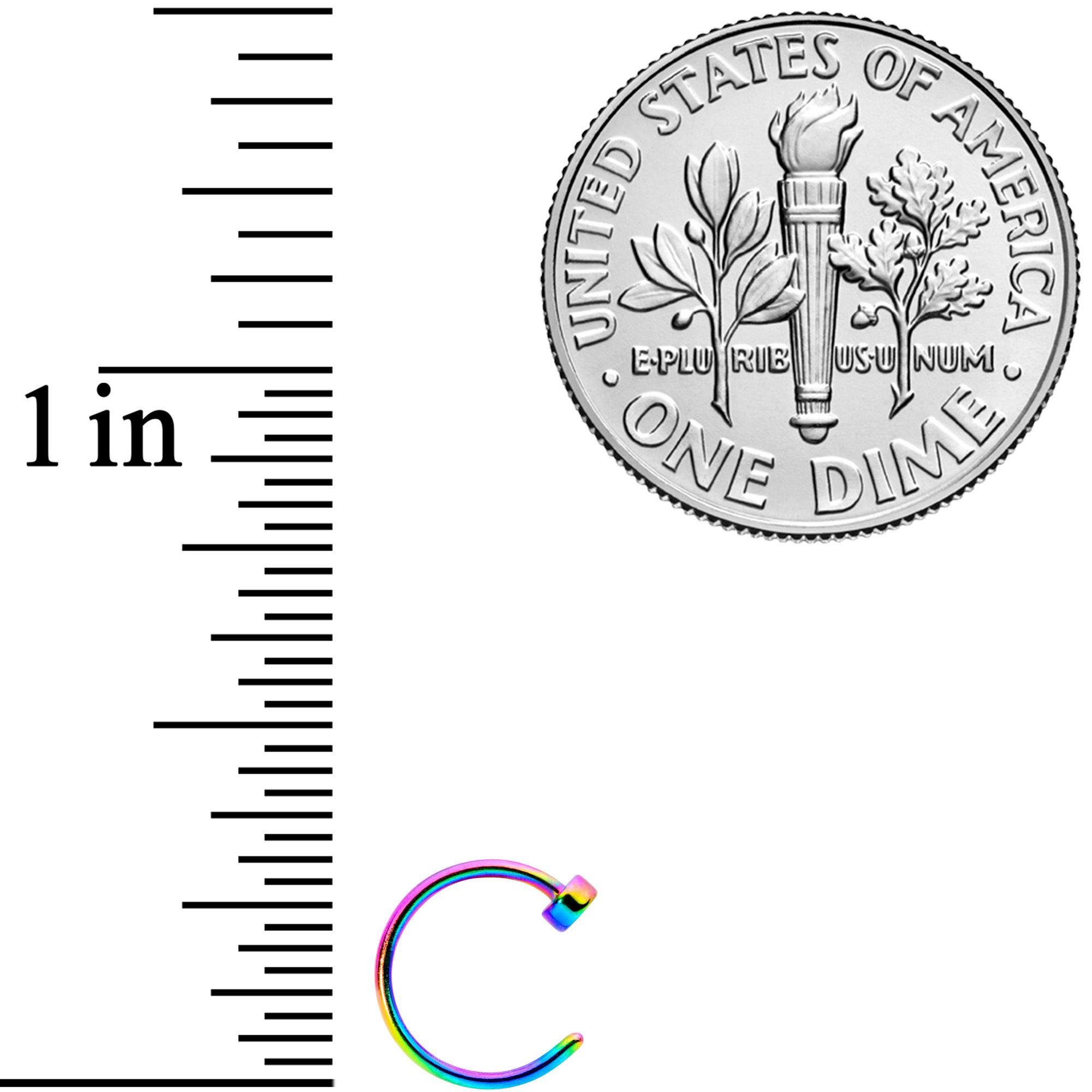 22G 1/4 Rainbow Disc Nose Hoop