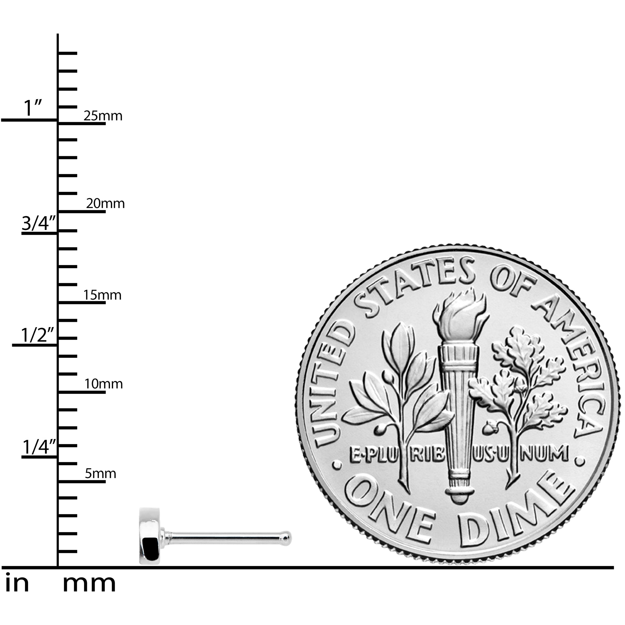 20G 5/16 Red Yellow Blue Pride Rainbow Nose Bone