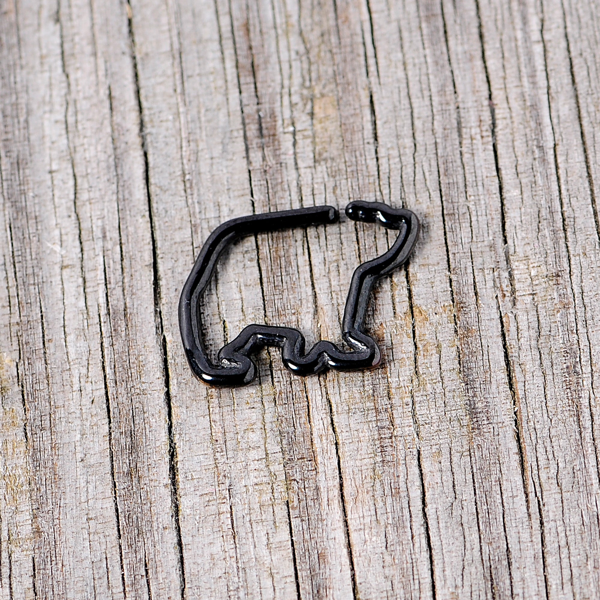16G 5/16 Black Polar Bear Closure Ring