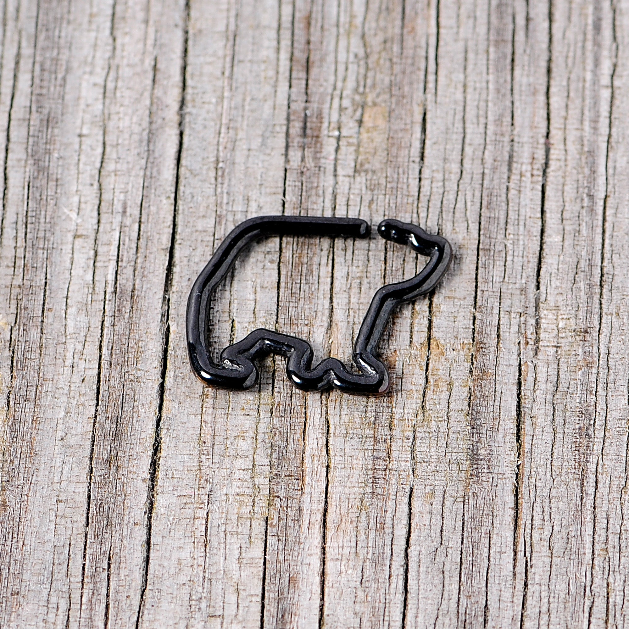 16G 5/16 Black Polar Bear Closure Ring