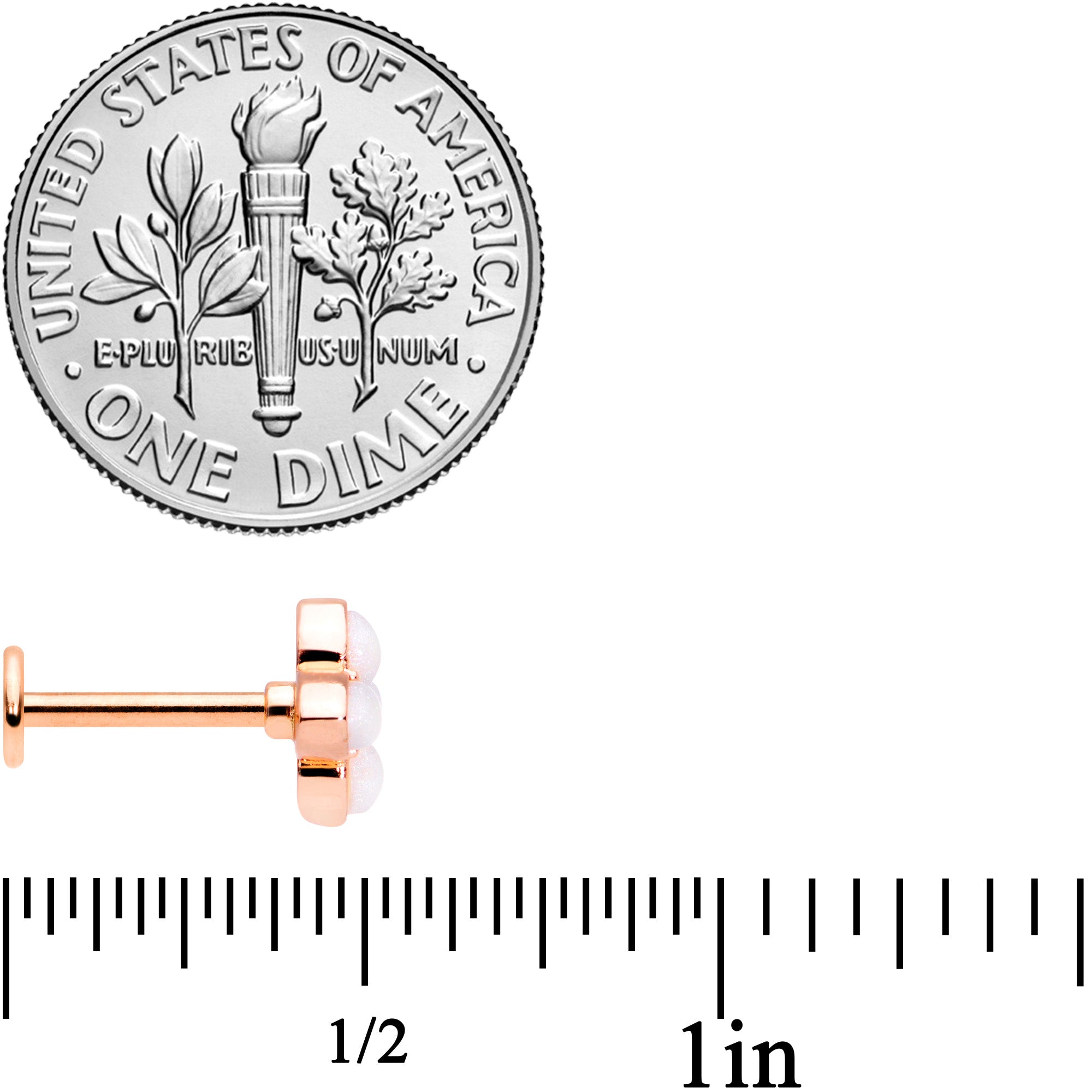 16G 5/16 Clear Gem Rose Gold Tone Ren Fair Labret Monroe Tragus