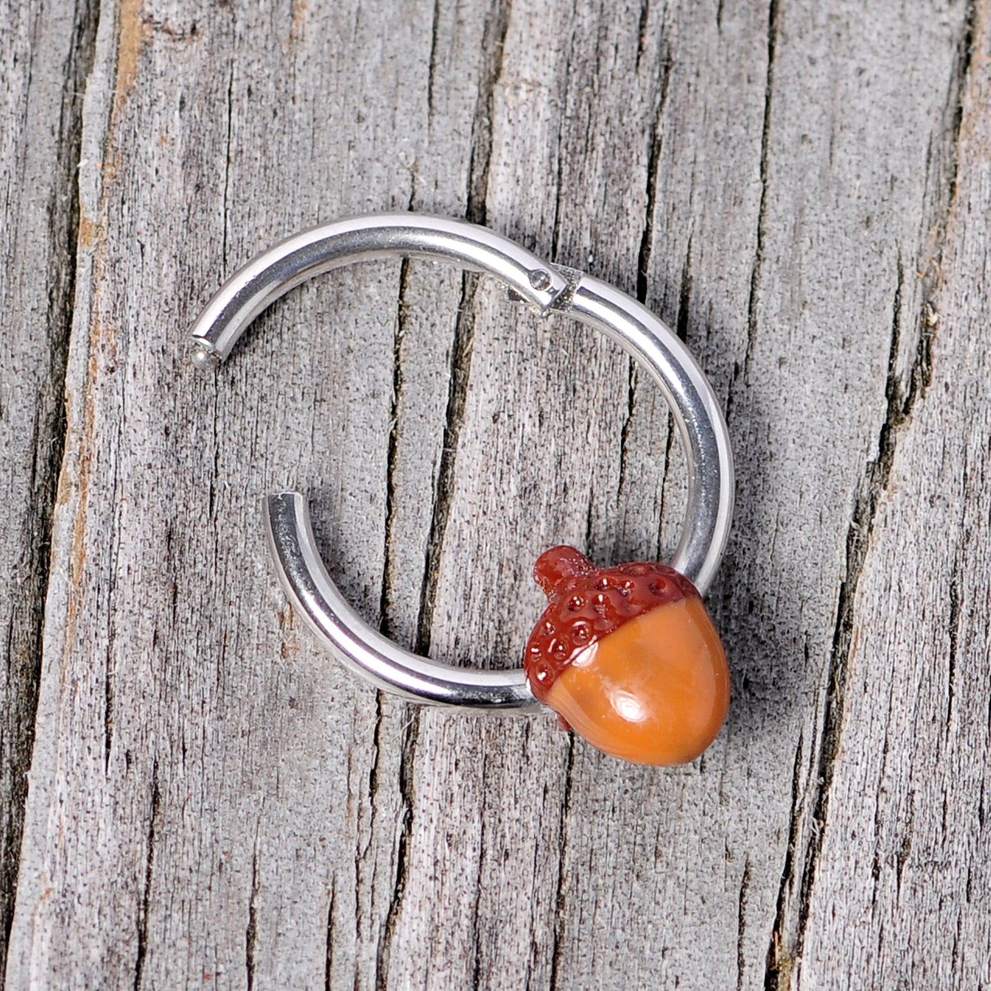 16G 3/8 Brown Autumn Acorn Hinged Segment Ring