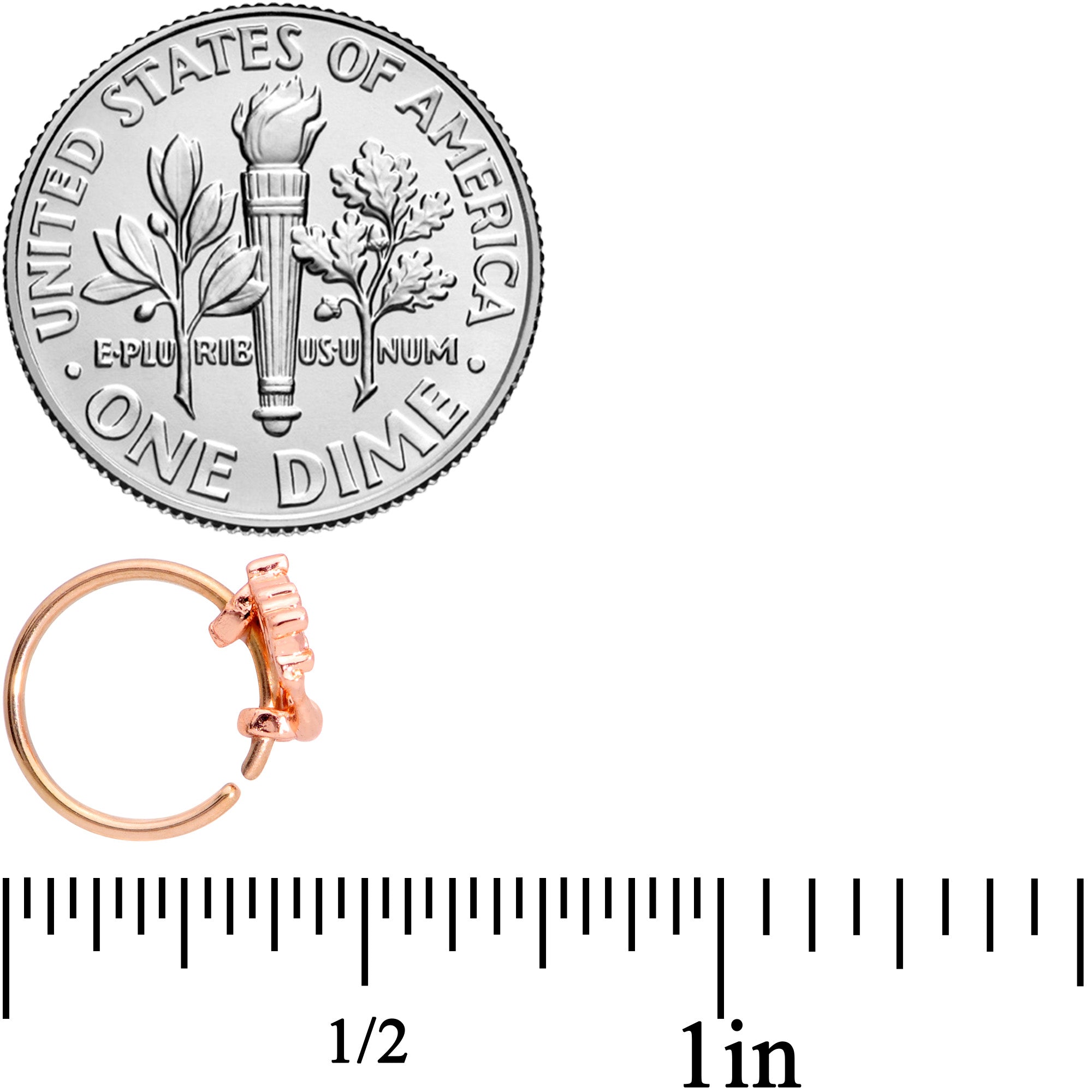 20G 5/16 Rose Gold Tone Magic Genie Lamp Nose Hoop