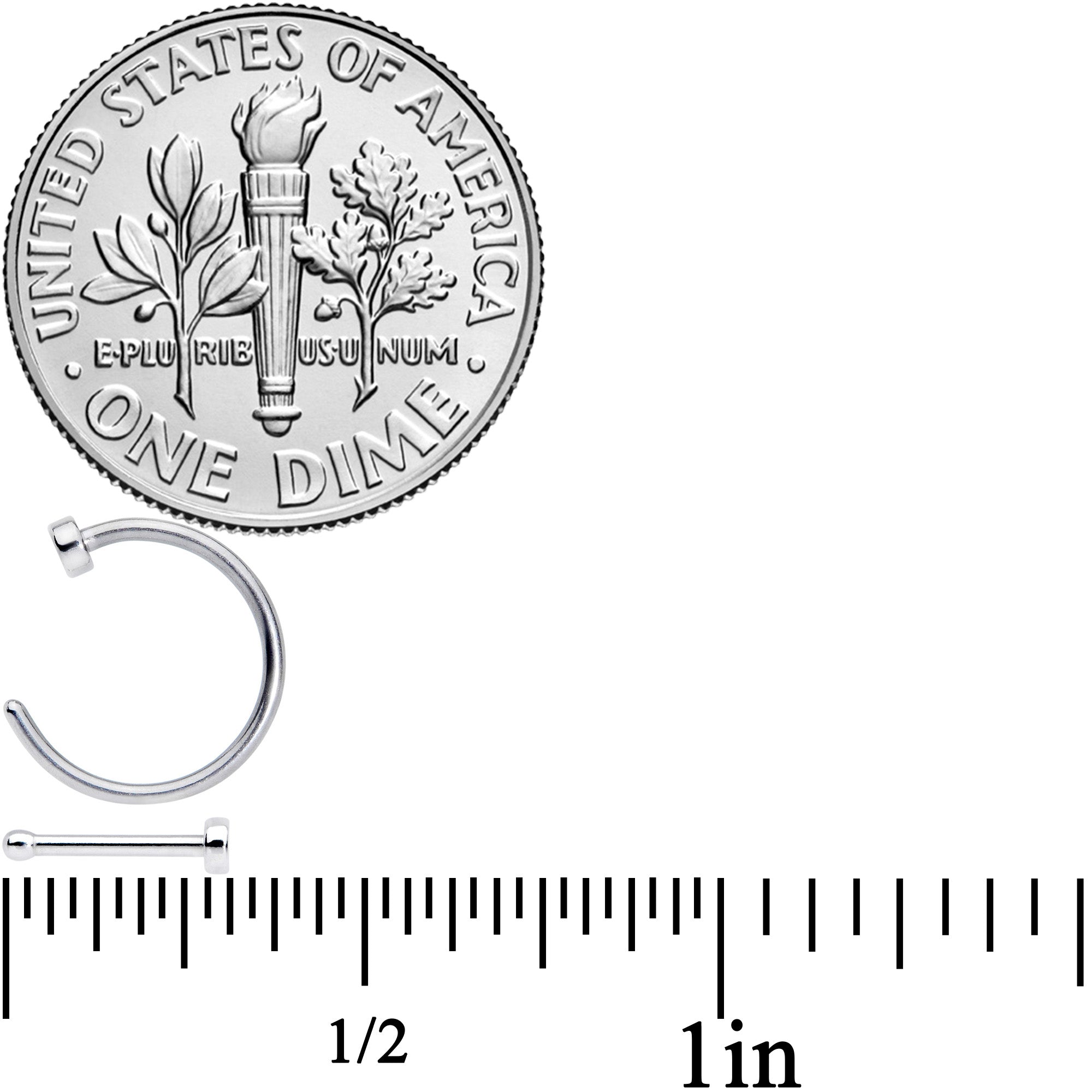 20G 1/4 5/16 Clear CZ Gem Shell Nautical Hoop Nose Bone Set of 6