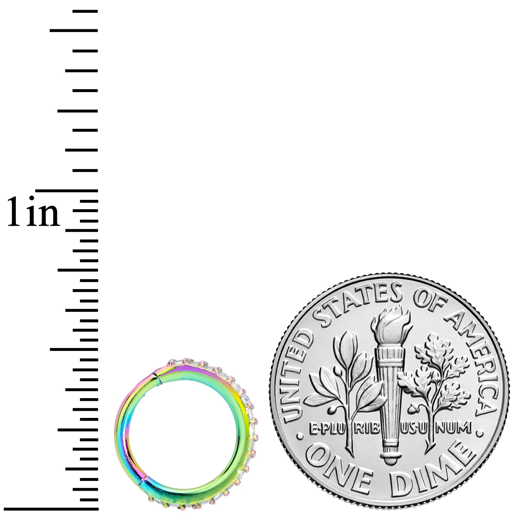 16 Gauge 5/16 Clear CZ Gem Rainbow Hinged Segment Ring