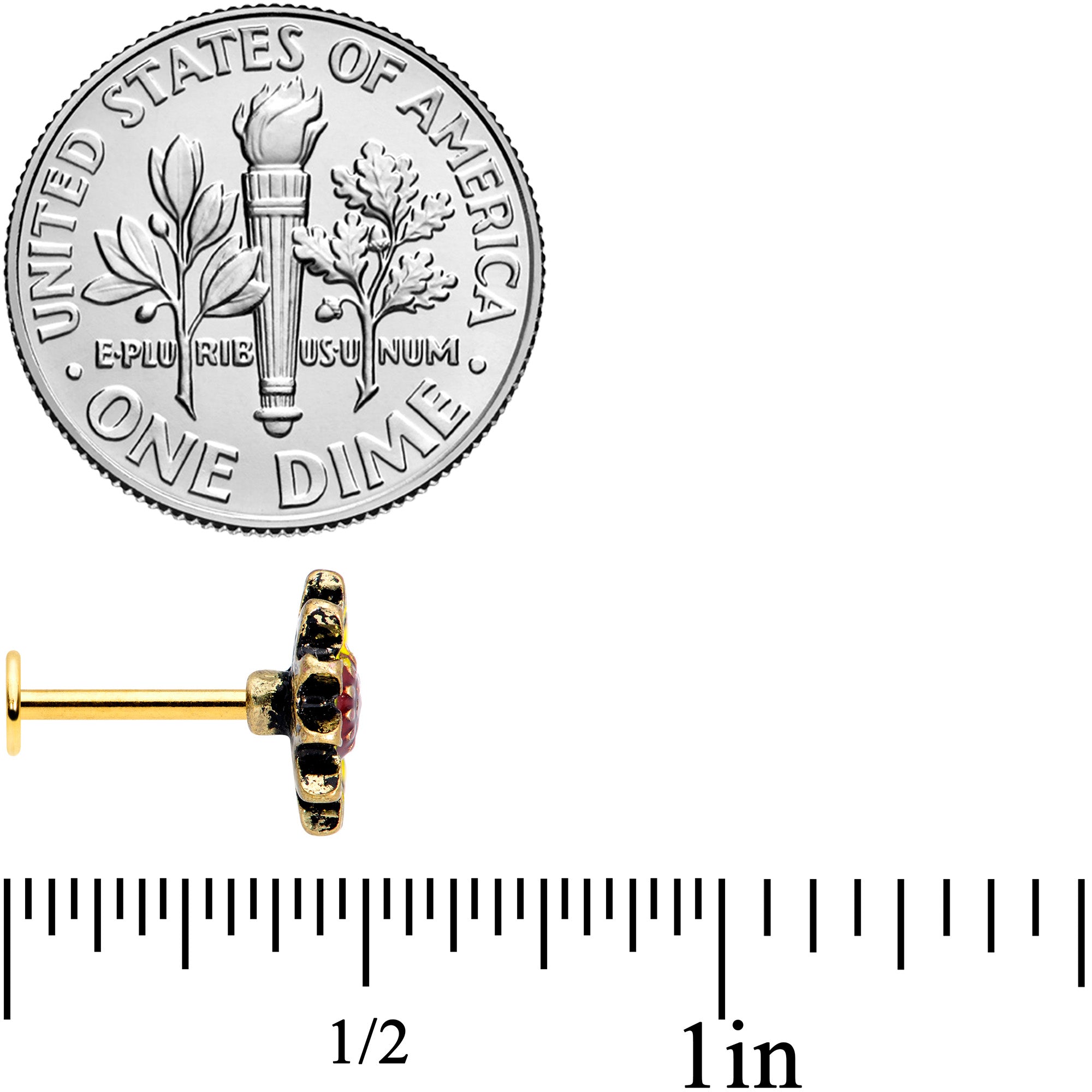 16G 5/16 Gold Tone Sunny Sunflower Labret Monroe Tragus