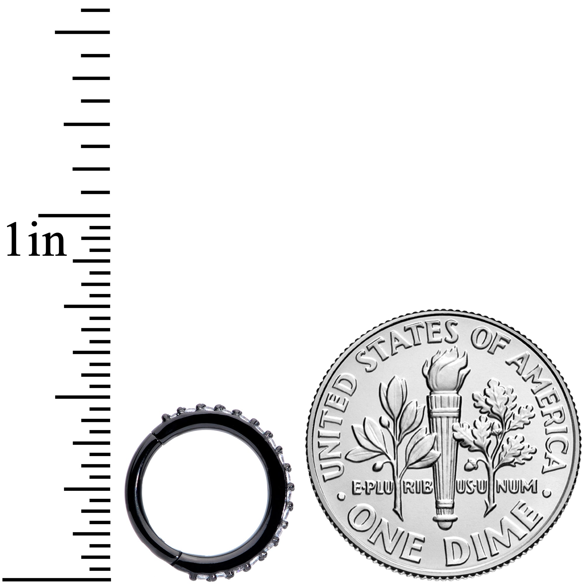 16G 5/16 Clear CZ Gem Black Plated Hinged Segment Ring