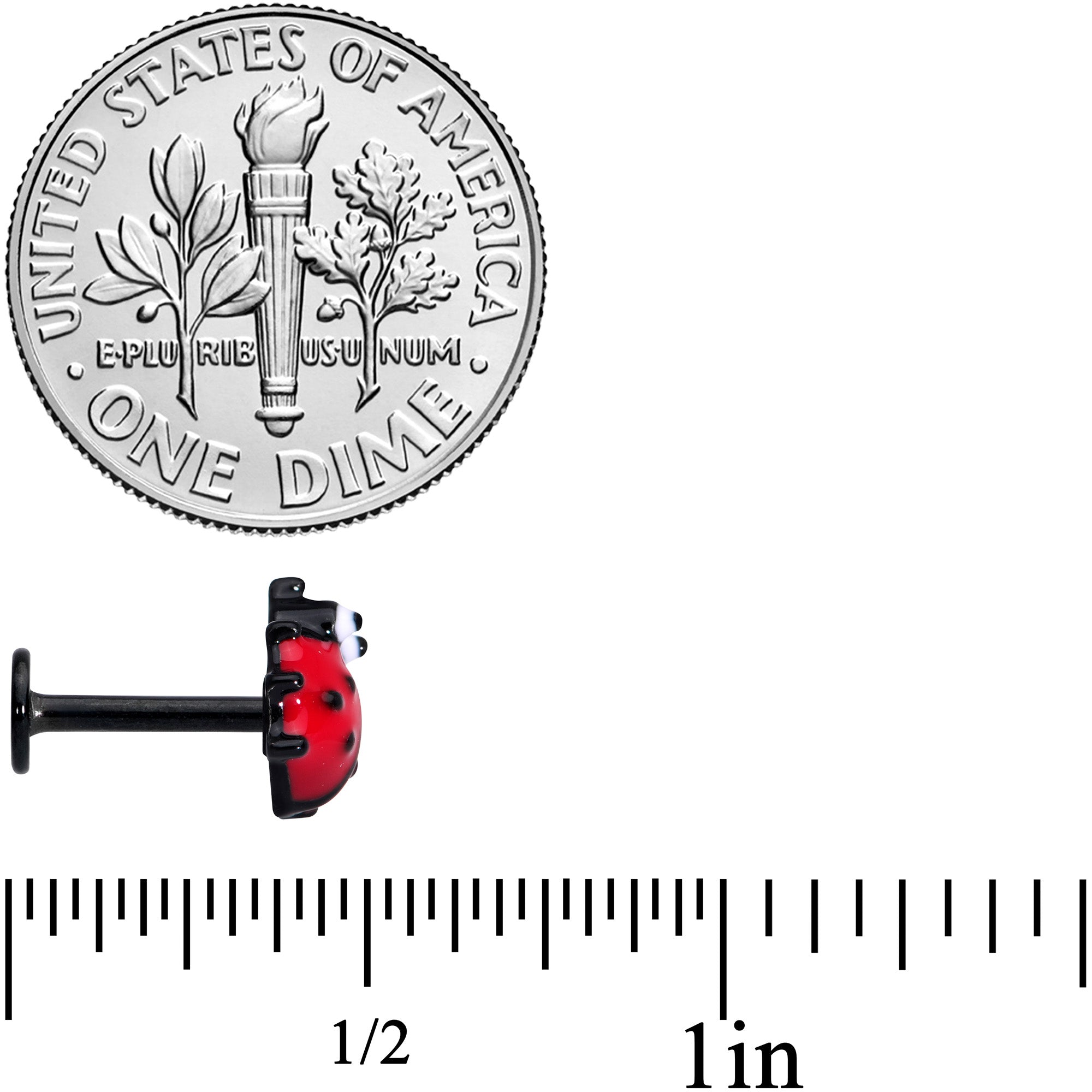 16G 5/16 Red Black Insect Ladybug Labret Monroe Tragus