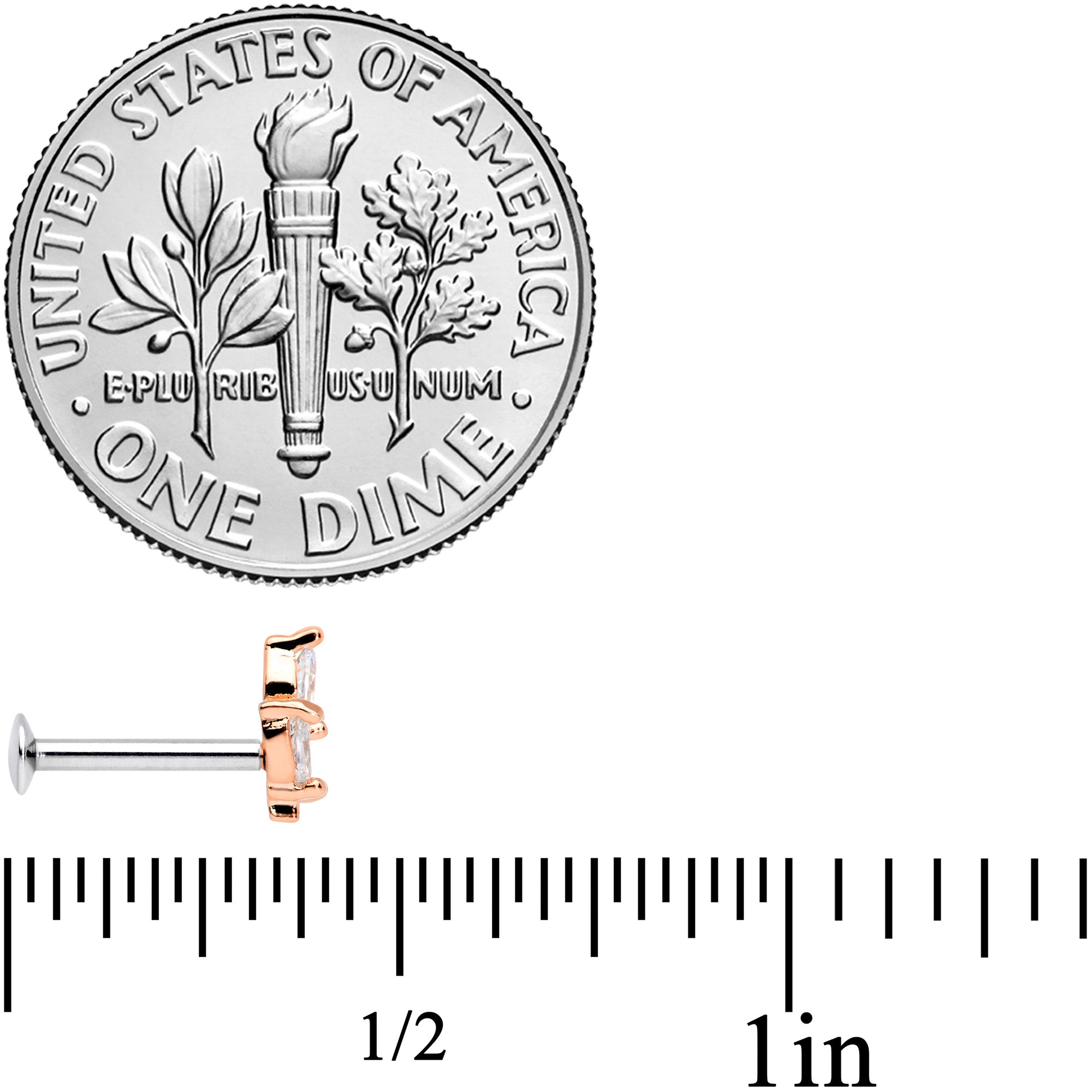 16G 5/16 CZ Rose Gold PVD Leaf Threadless Push In Labret Tragus