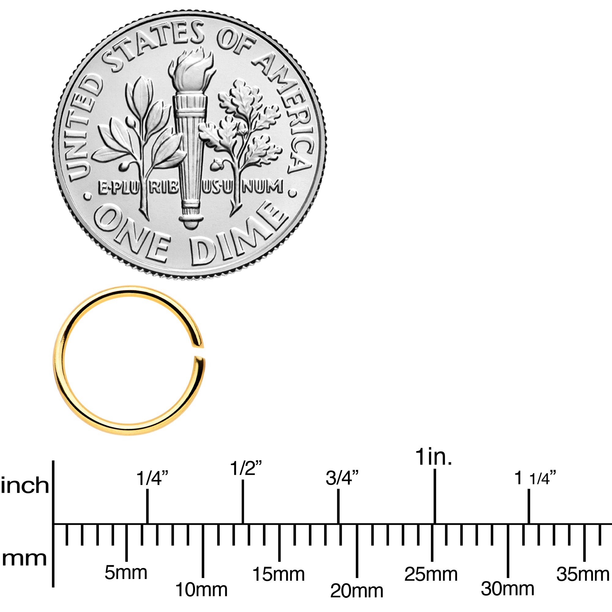 20G 5/16 Gold Tone Anodized Seamless Circular Ring Set of 12