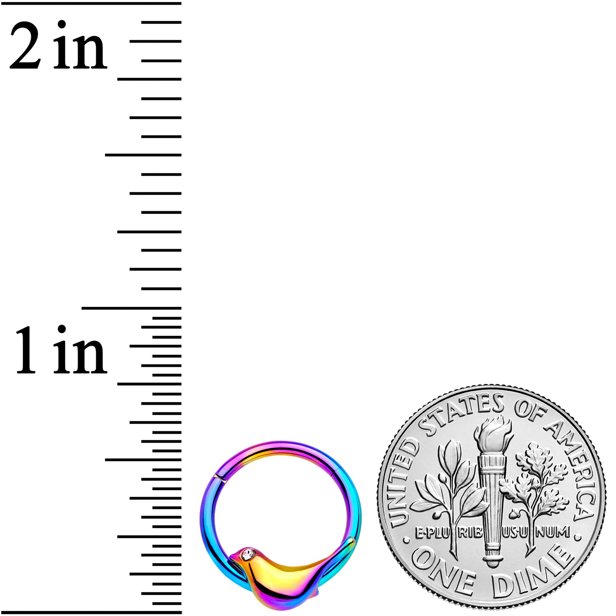 16 Gauge 3/8 Clear Gem Rainbow Bird Septum Ring