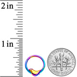 16 Gauge 3/8 Clear Gem Rainbow Bird Septum Ring