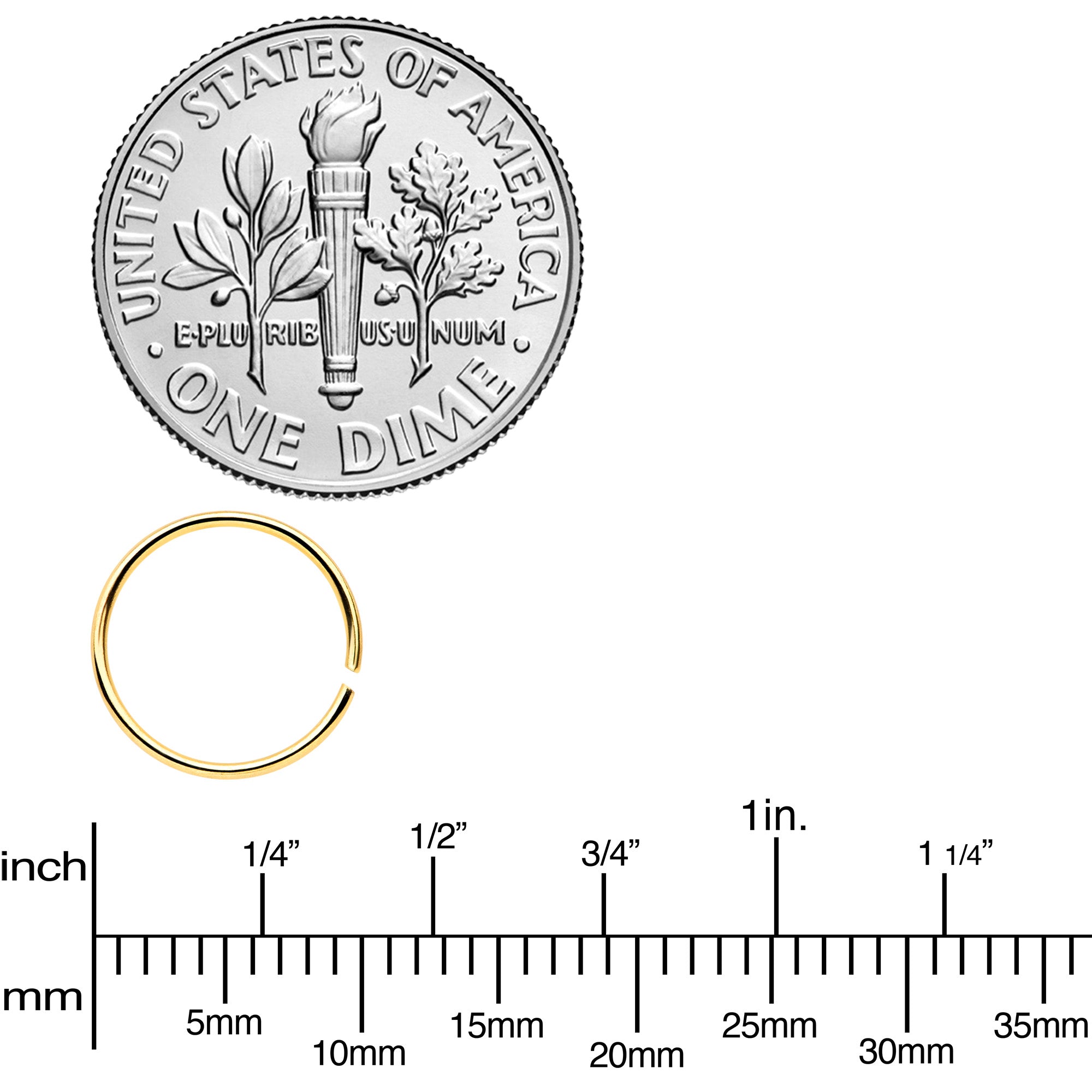 22G 5/16 Gold Tone Anodized Seamless Circular Ring Set of 12