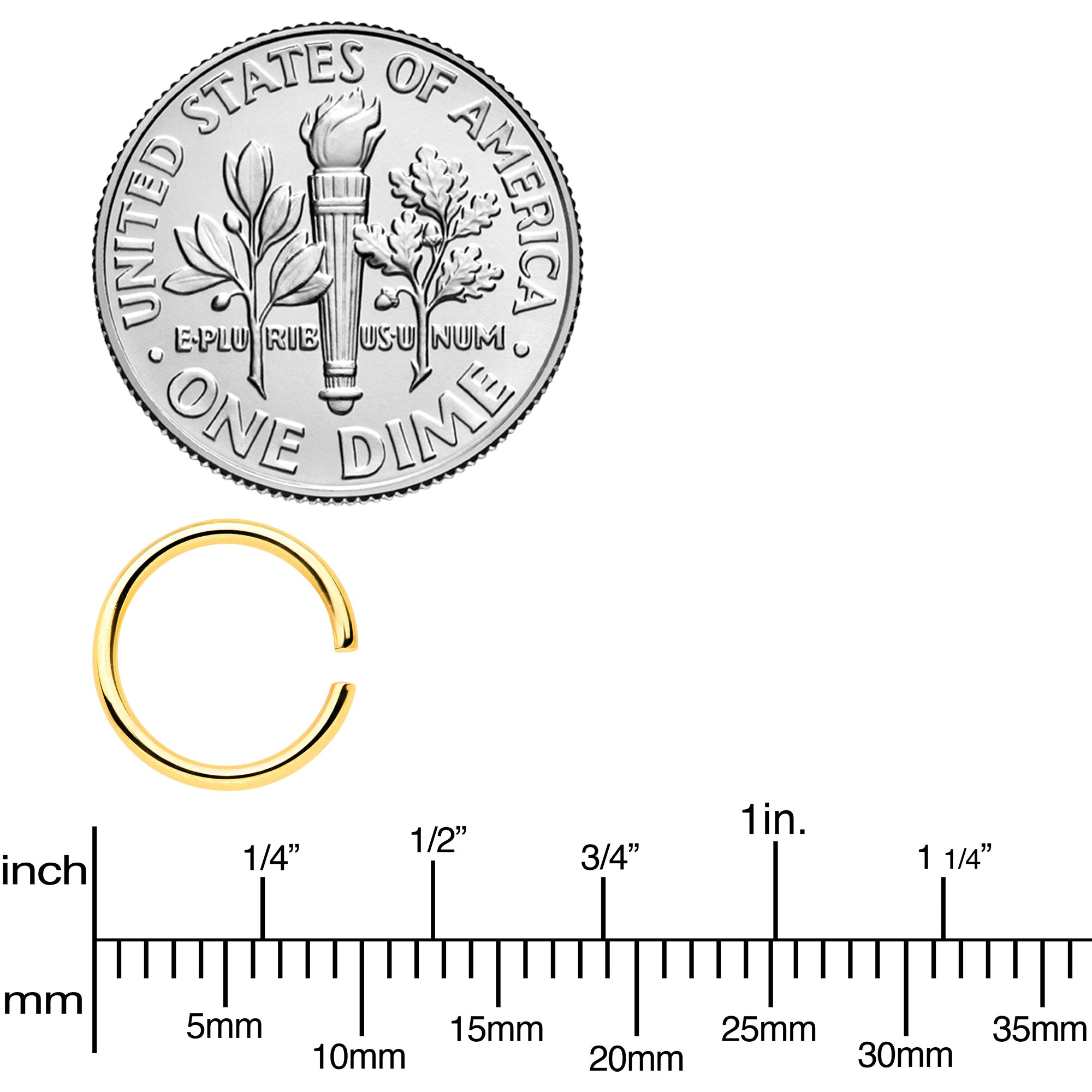 18G 5/16 Gold Tone Anodized Seamless Circular Ring Set of 12