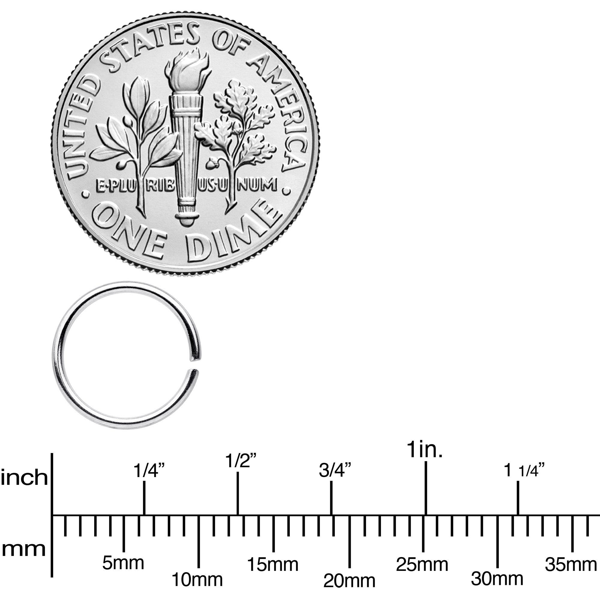 20G 5/16 Steel Rainbow Anodized Seamless Circular Ring Set of 12