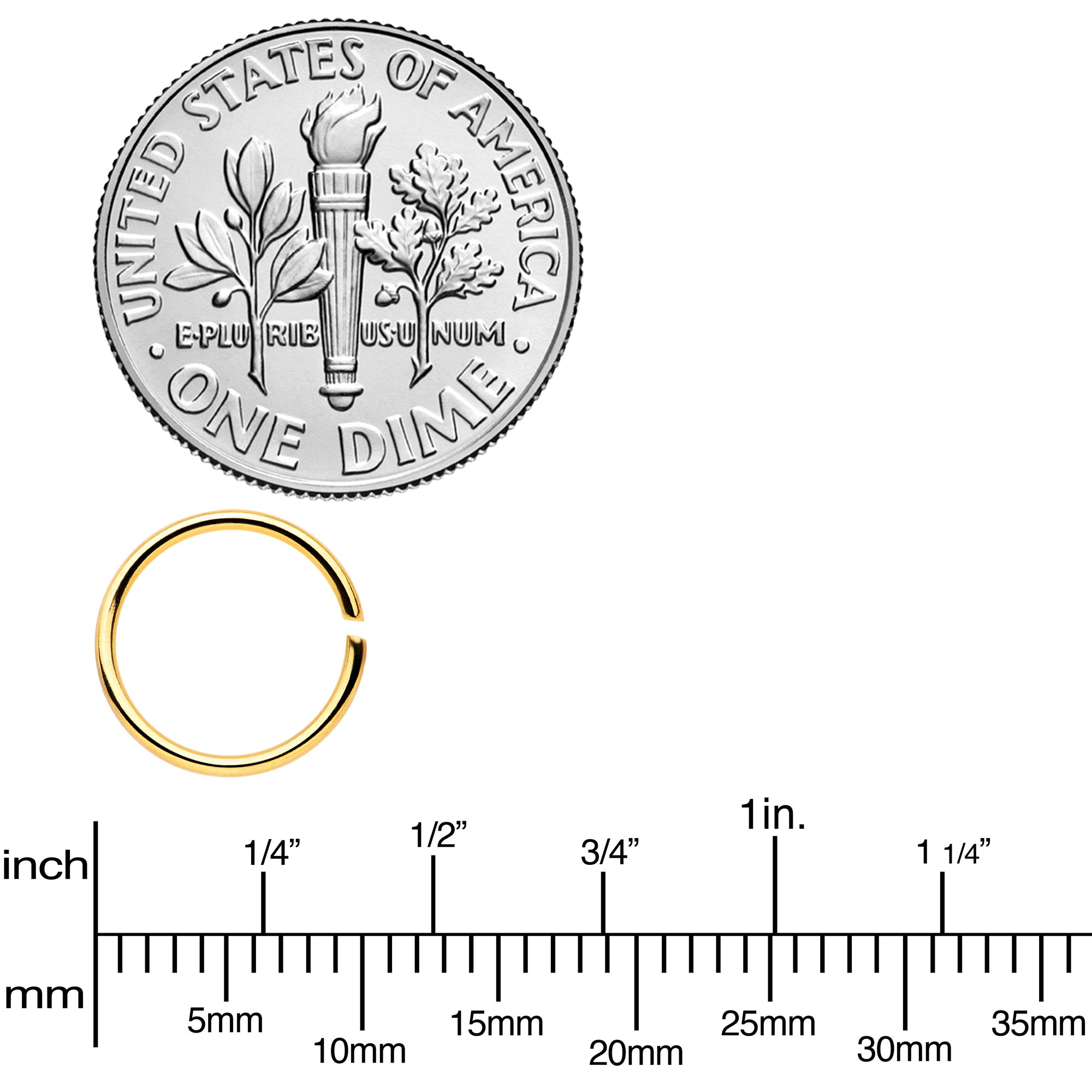 20G 5/16 Black Gold Tone Anodized Seamless Circular Ring Set of 12