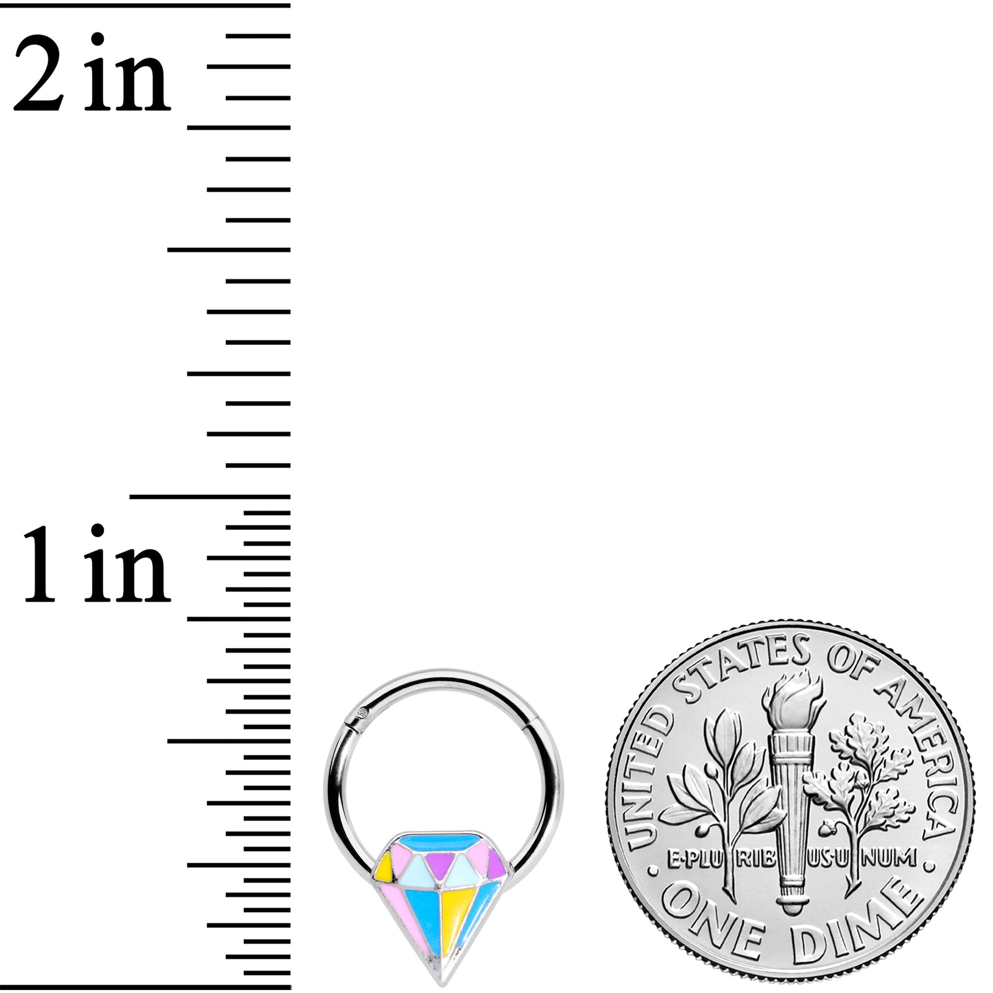 16G 3/8 Geologist Prize Hinged Segment Ring