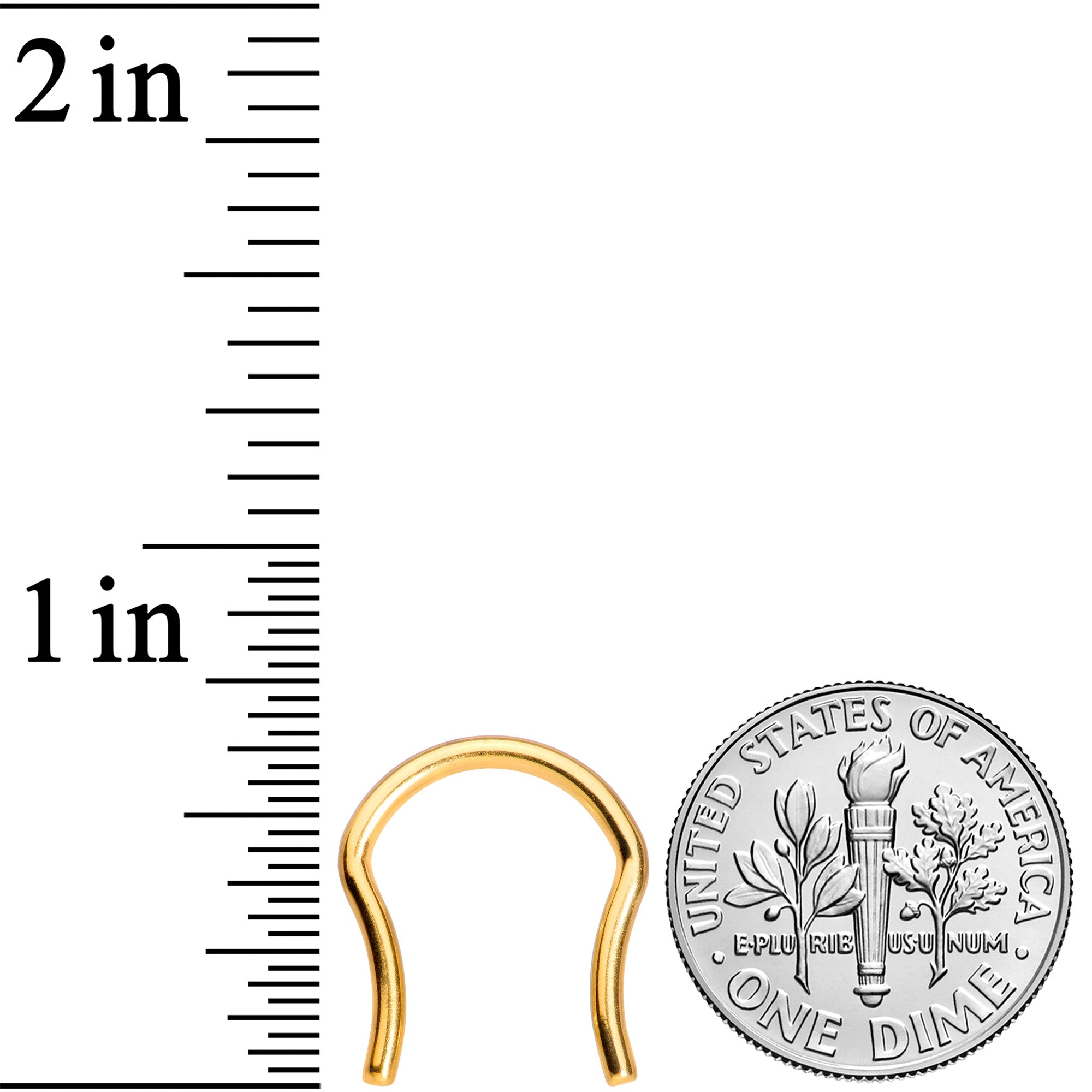 14 Gauge 5/8 Gold Tone ASTM F-136 Implant Grade Titanium Septum Retainer