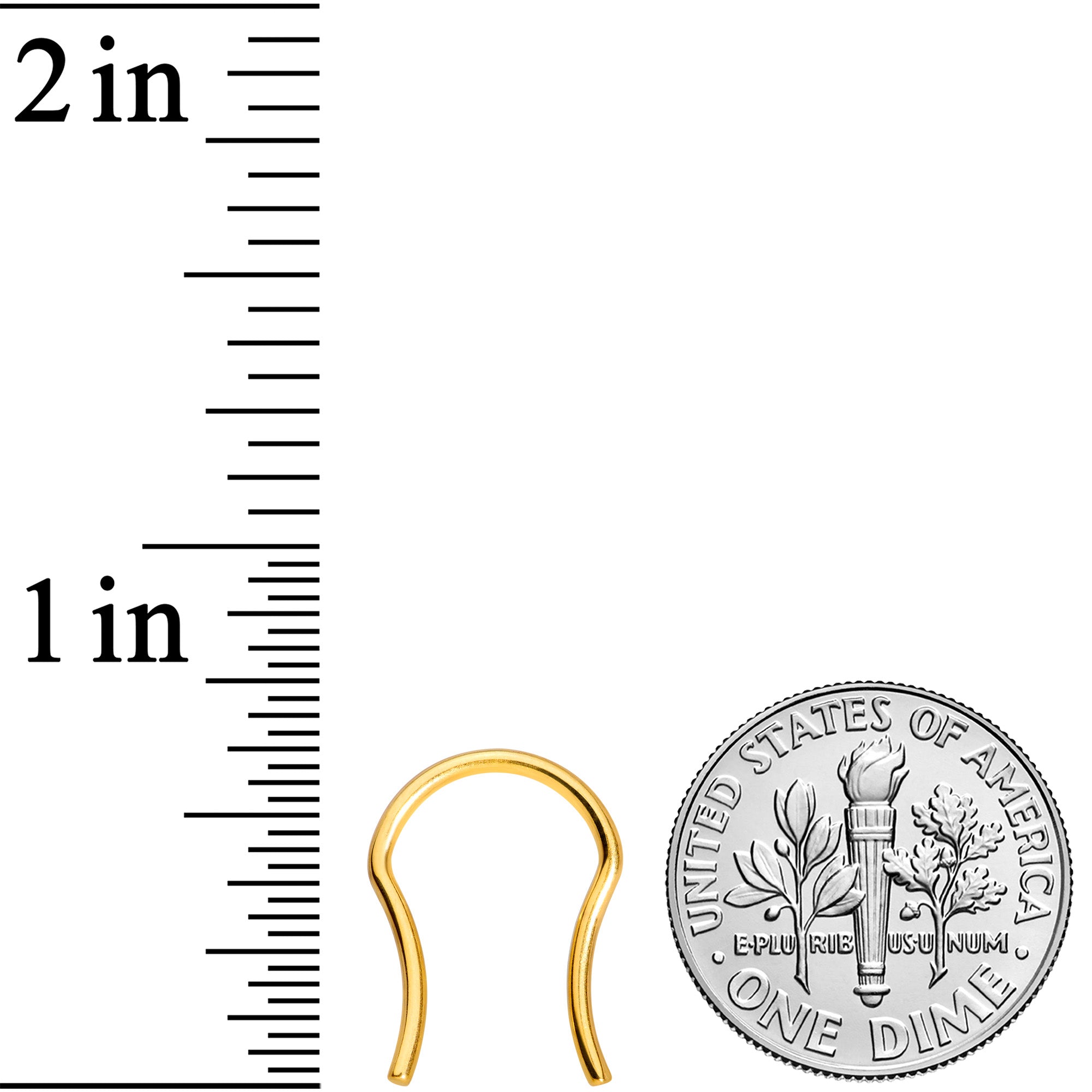 16 Gauge 5/8 Gold Tone ASTM F-136 Implant Grade Titanium Septum Retainer