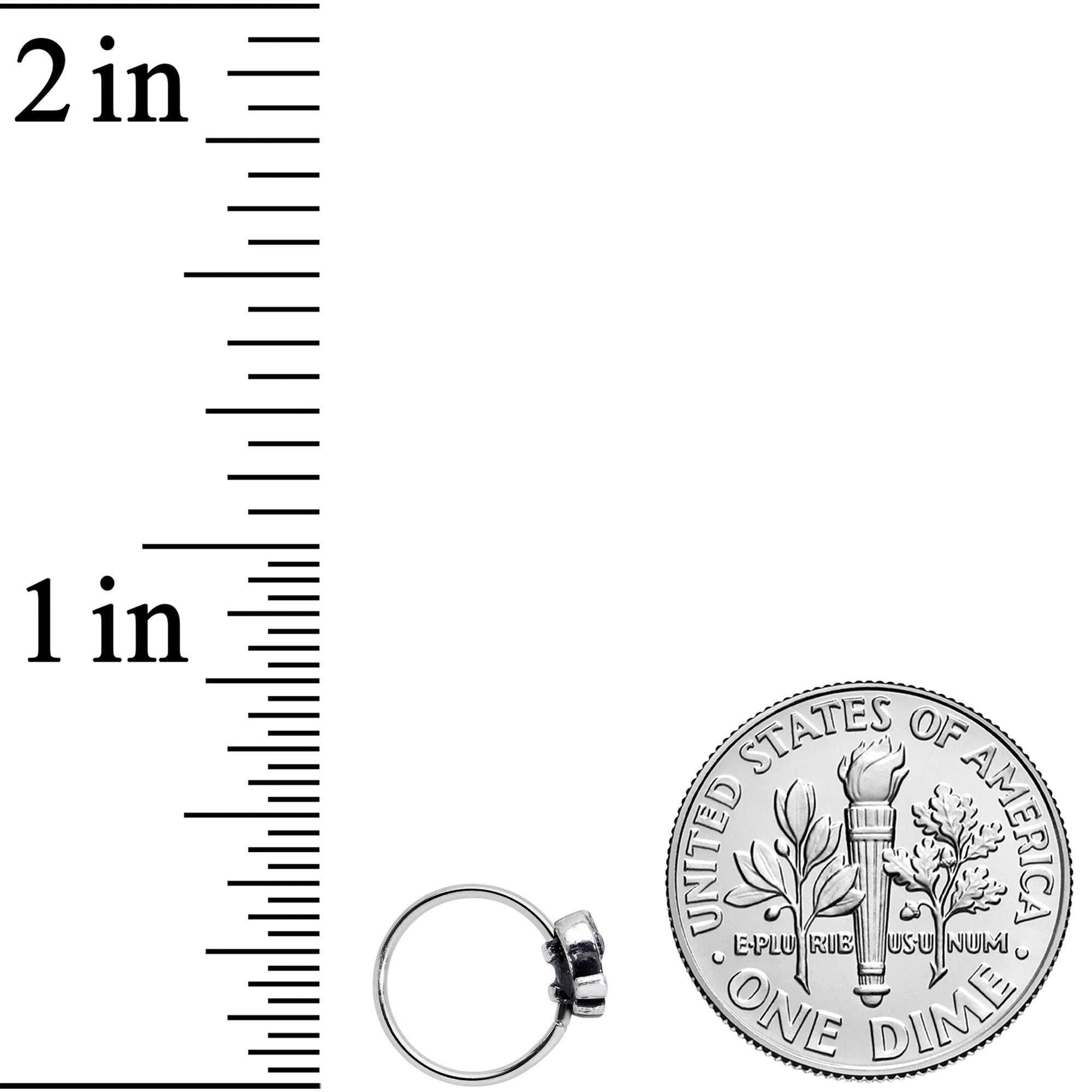 20G 5/16 Aqua Orb Curvy Elephant Nose Hoop