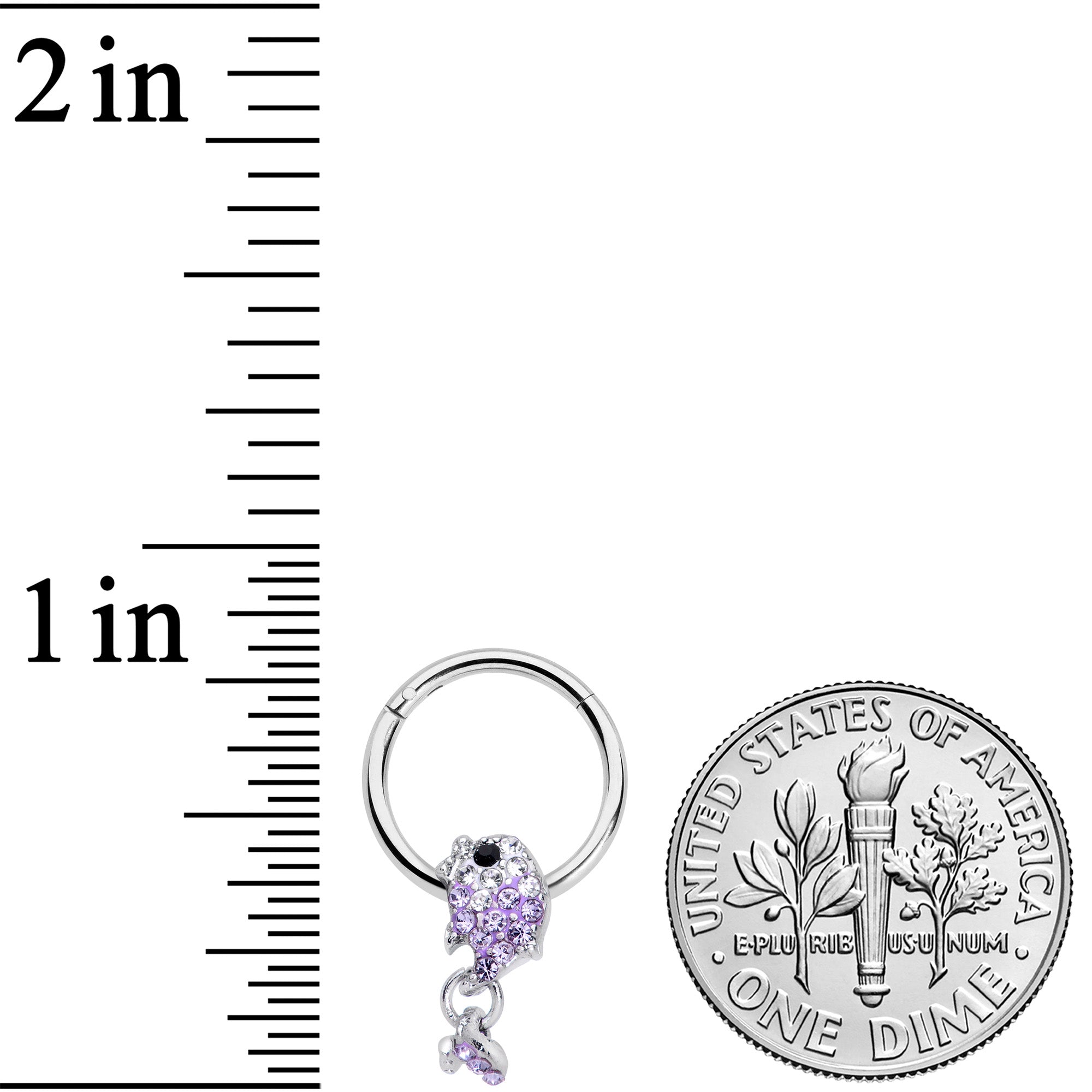 16G 3/8 Purple Gem Sweet Fish Dangle Hinged Segment Ring