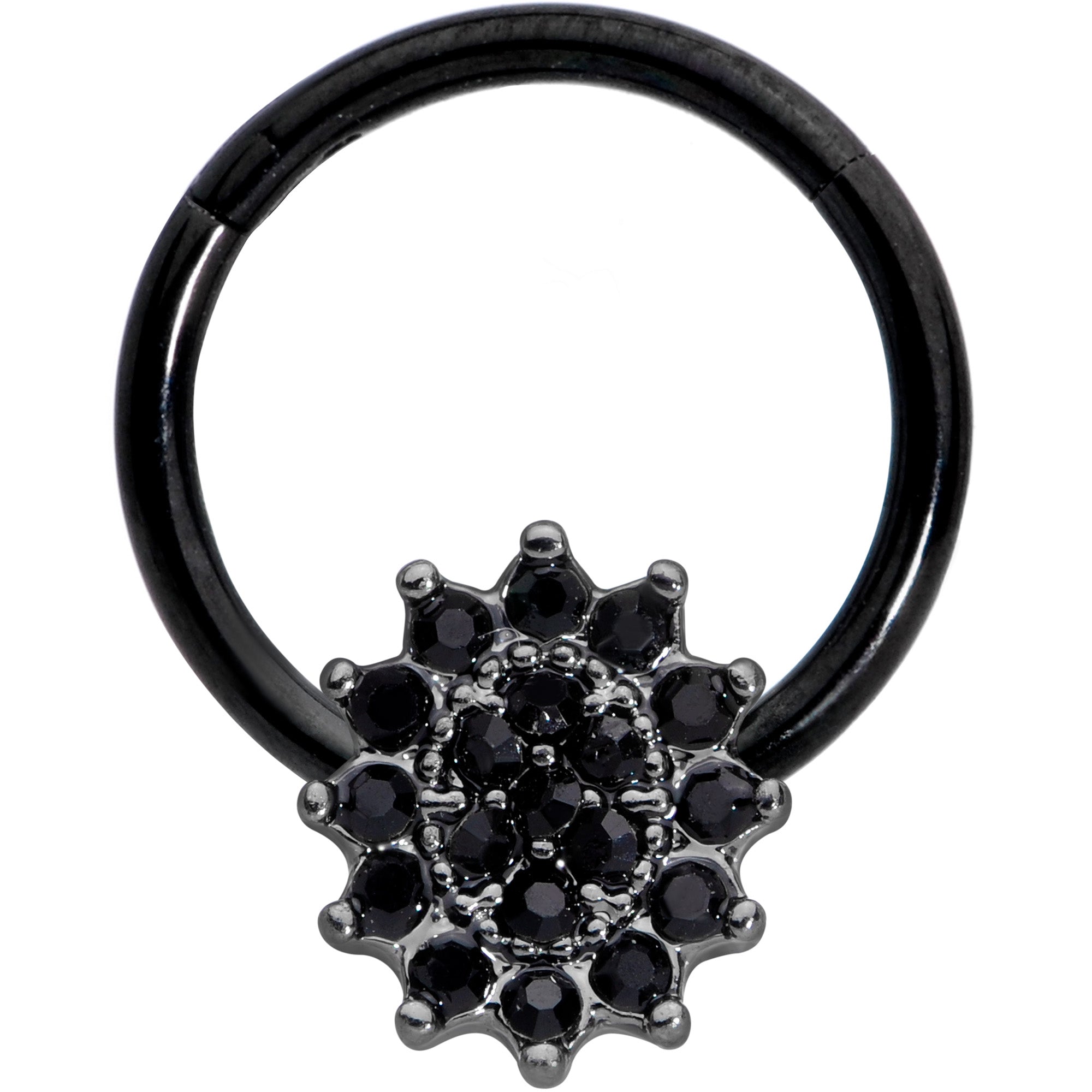 16G 3/8 Black Gem Black Oval Hinged Segment Ring