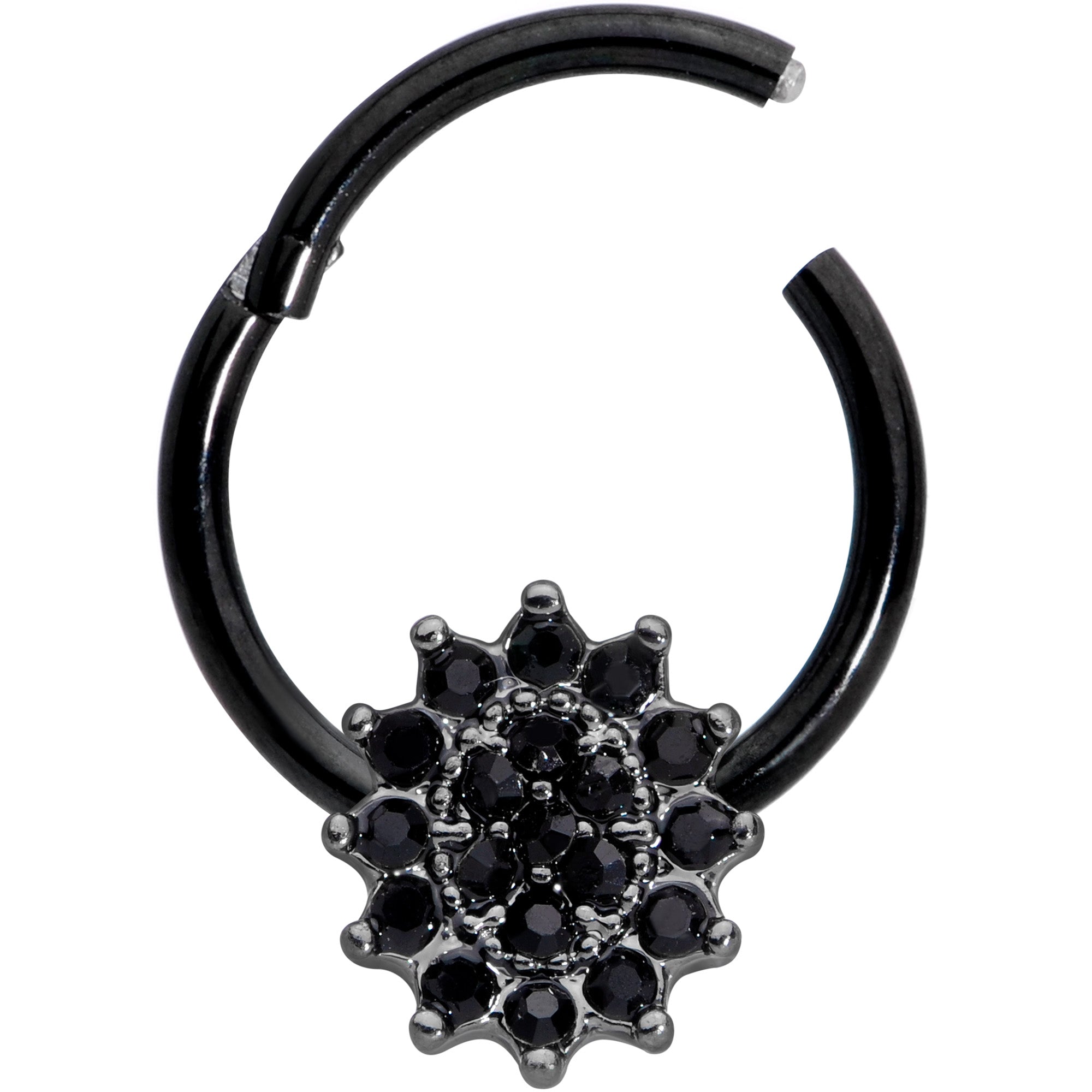 16G 3/8 Black Gem Black Oval Hinged Segment Ring