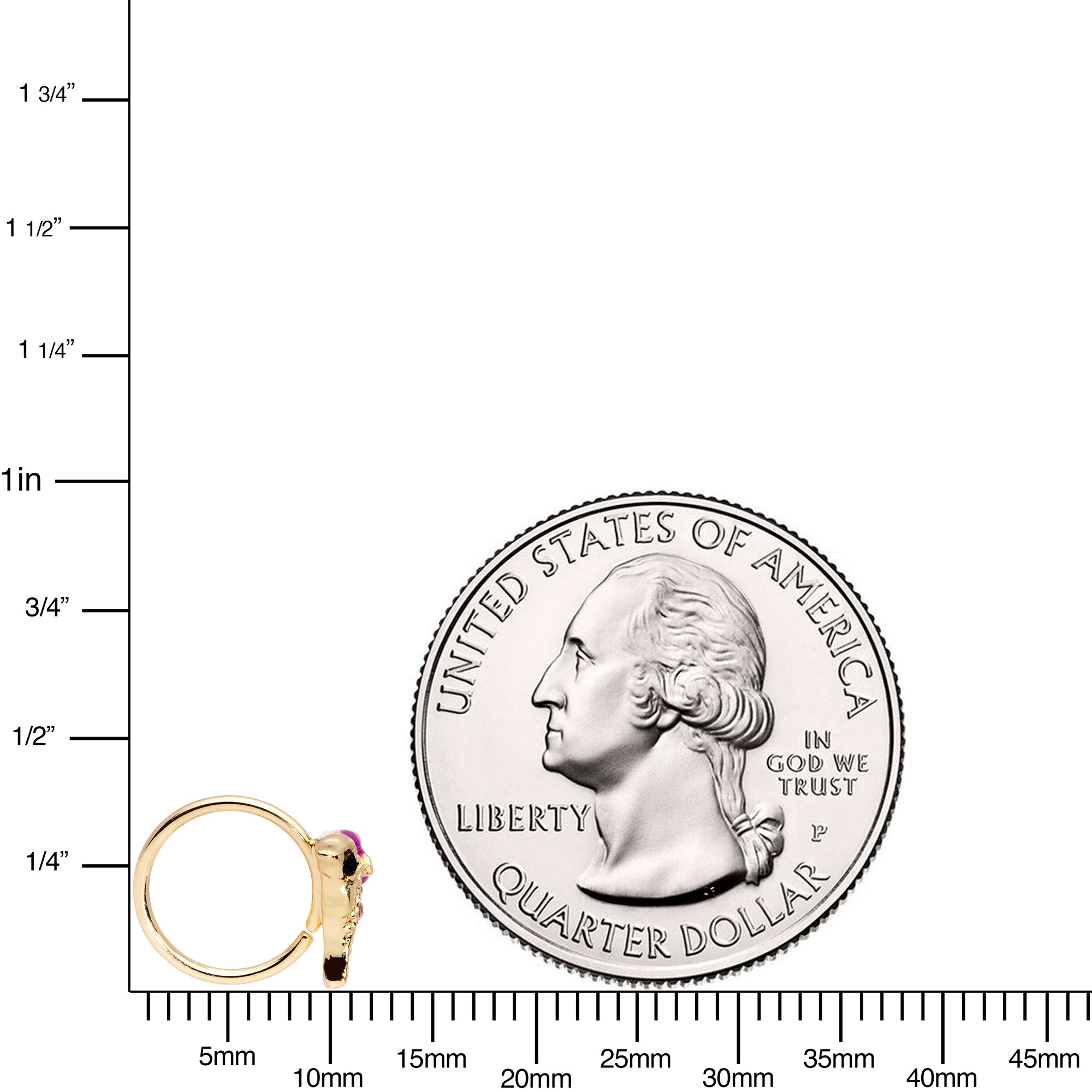 20G 5/16 Purple Gem Gold Tone Dainty Dolphin Nose Hoop