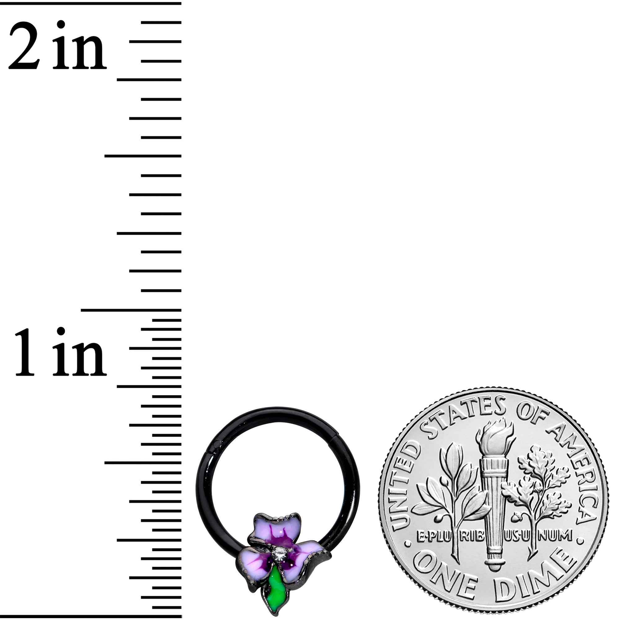 16G 3/8 Clear CZ Gem Black Purple Iris Flower Hinged Segment Ring