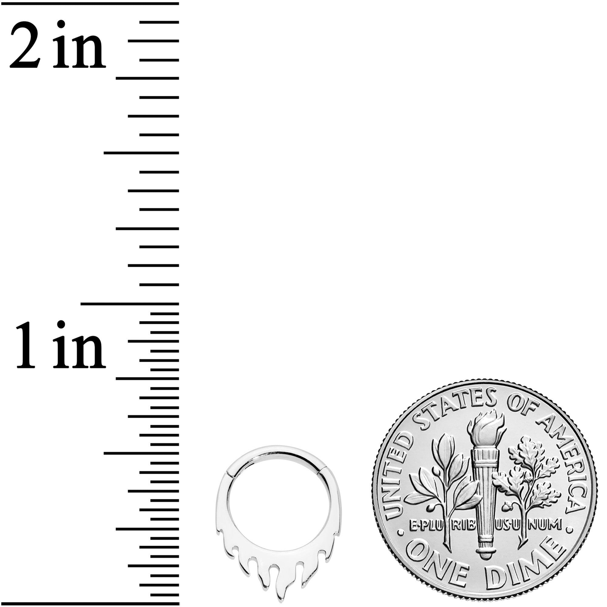 16G 5/16 Flames of Style Fire Hinged Segment Ring