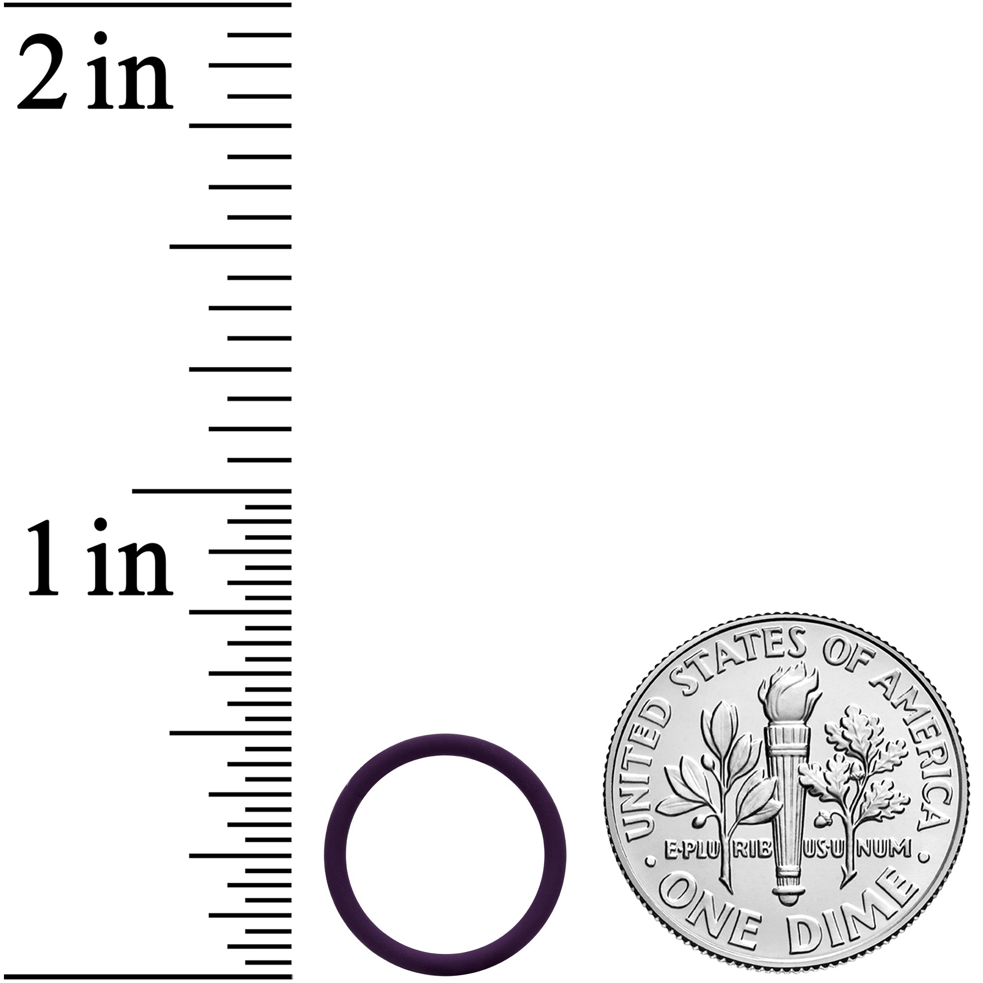 18G 3/8 Dark Purple Matte Cartilage Hinged Segment Ring