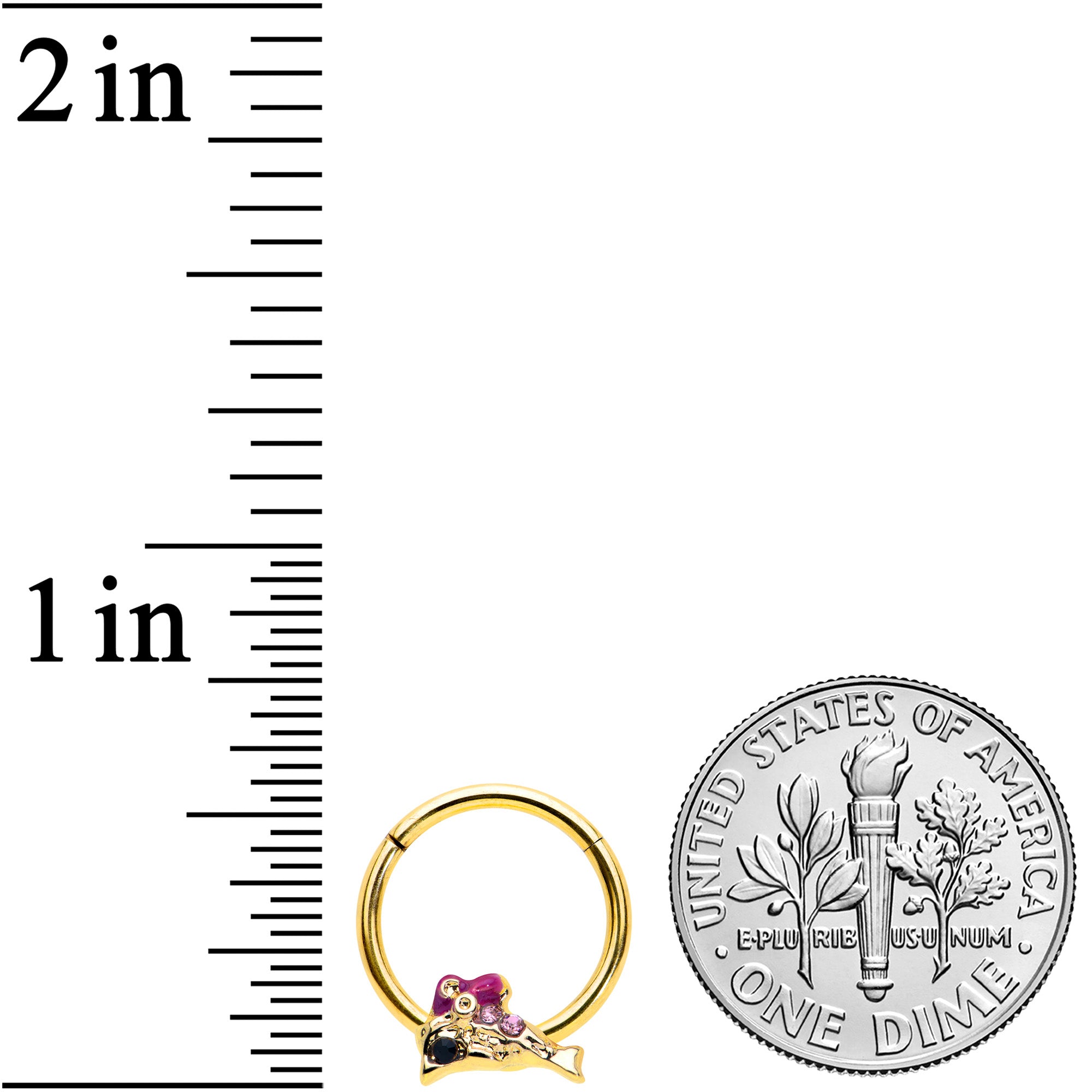 16G 3/8 Purple Gem Gold Tone Dainty Dolphin Hinged Segment Ring