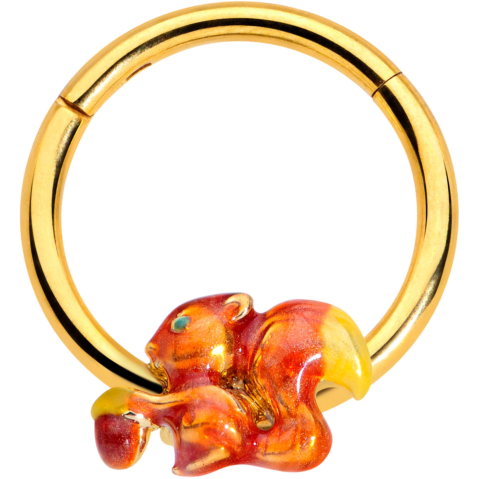 16G 3/8 Gold Tone Brown Happy Squirrel Acorn Hinged Segment Rnig