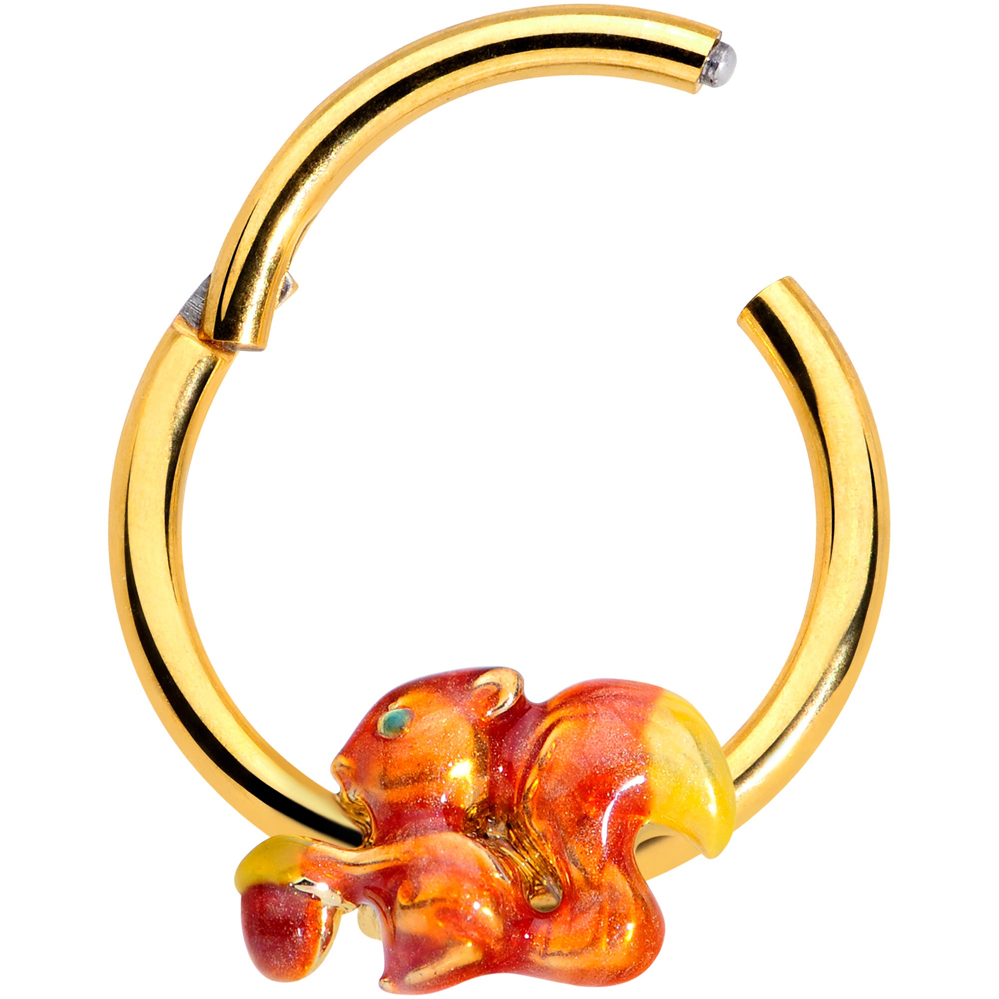 16G 3/8 Gold Tone Brown Happy Squirrel Acorn Hinged Segment Rnig