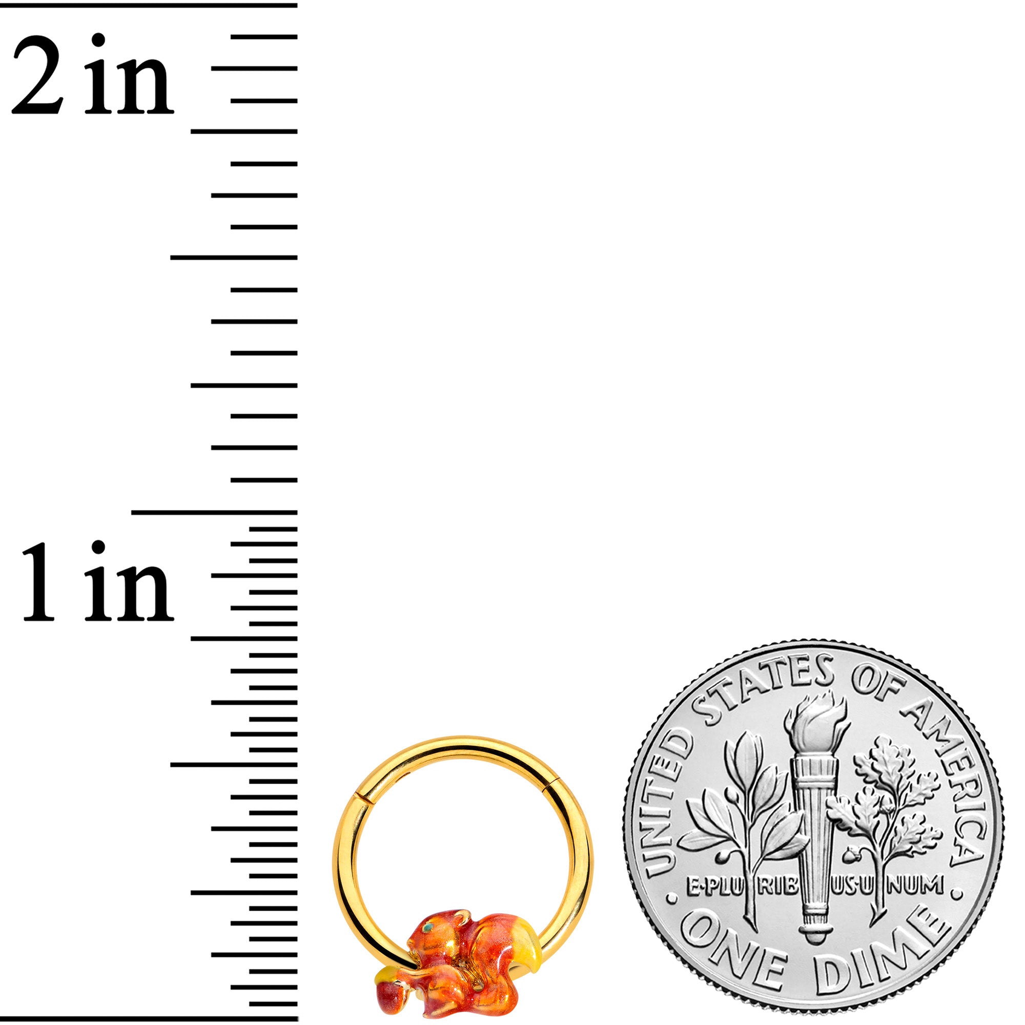 16G 3/8 Gold Tone Brown Happy Squirrel Acorn Hinged Segment Rnig