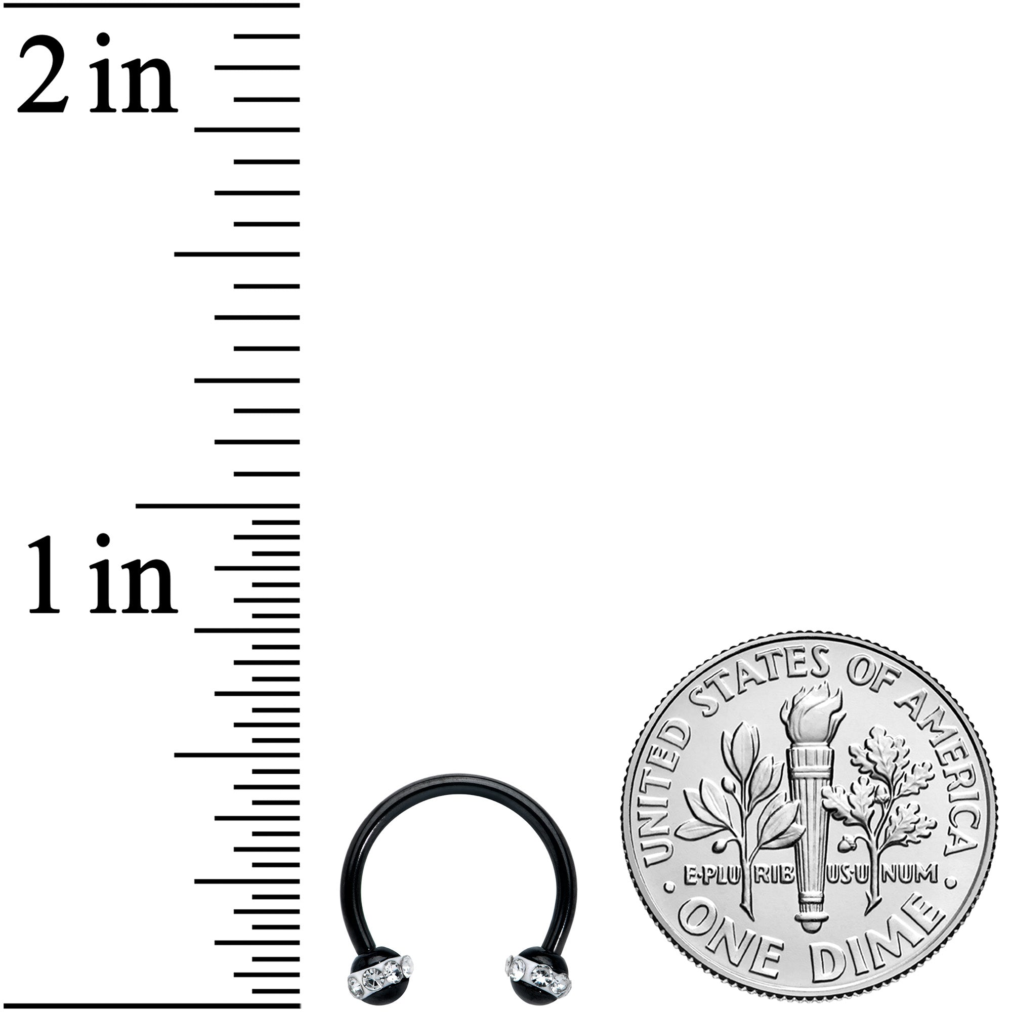 16G 3/8 Clear Gem Black Banded Horseshoe Circular Barbell