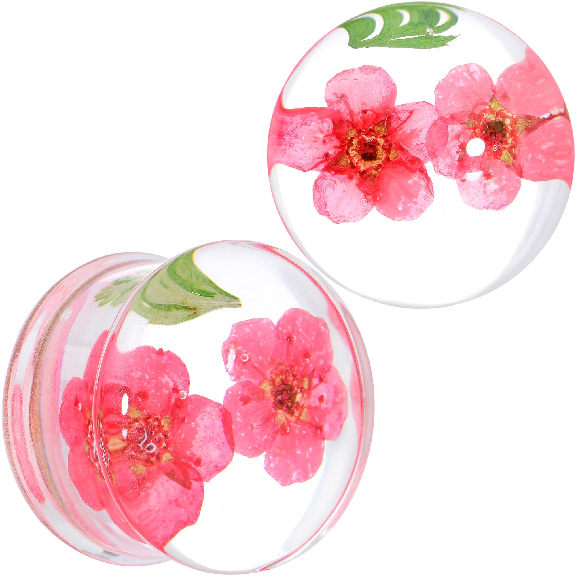 Clear Acrylic Color Pressed Flower Double Flare Plug Set