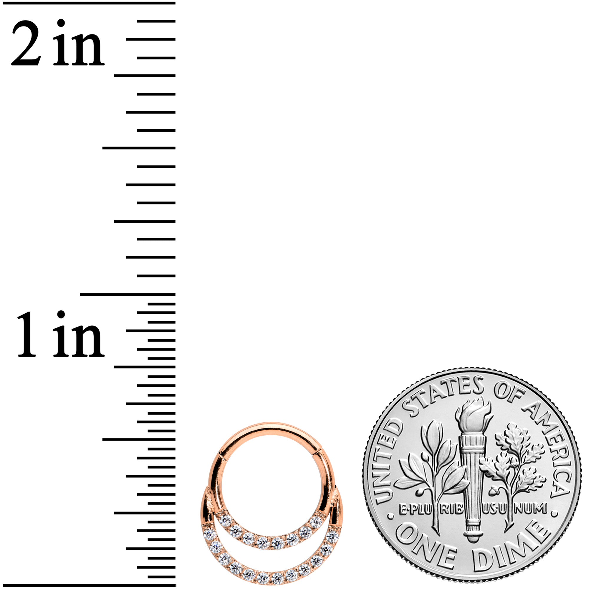 16G 5/16 Clear CZ Gem Rose Gold Tone Double Row Segment Ring