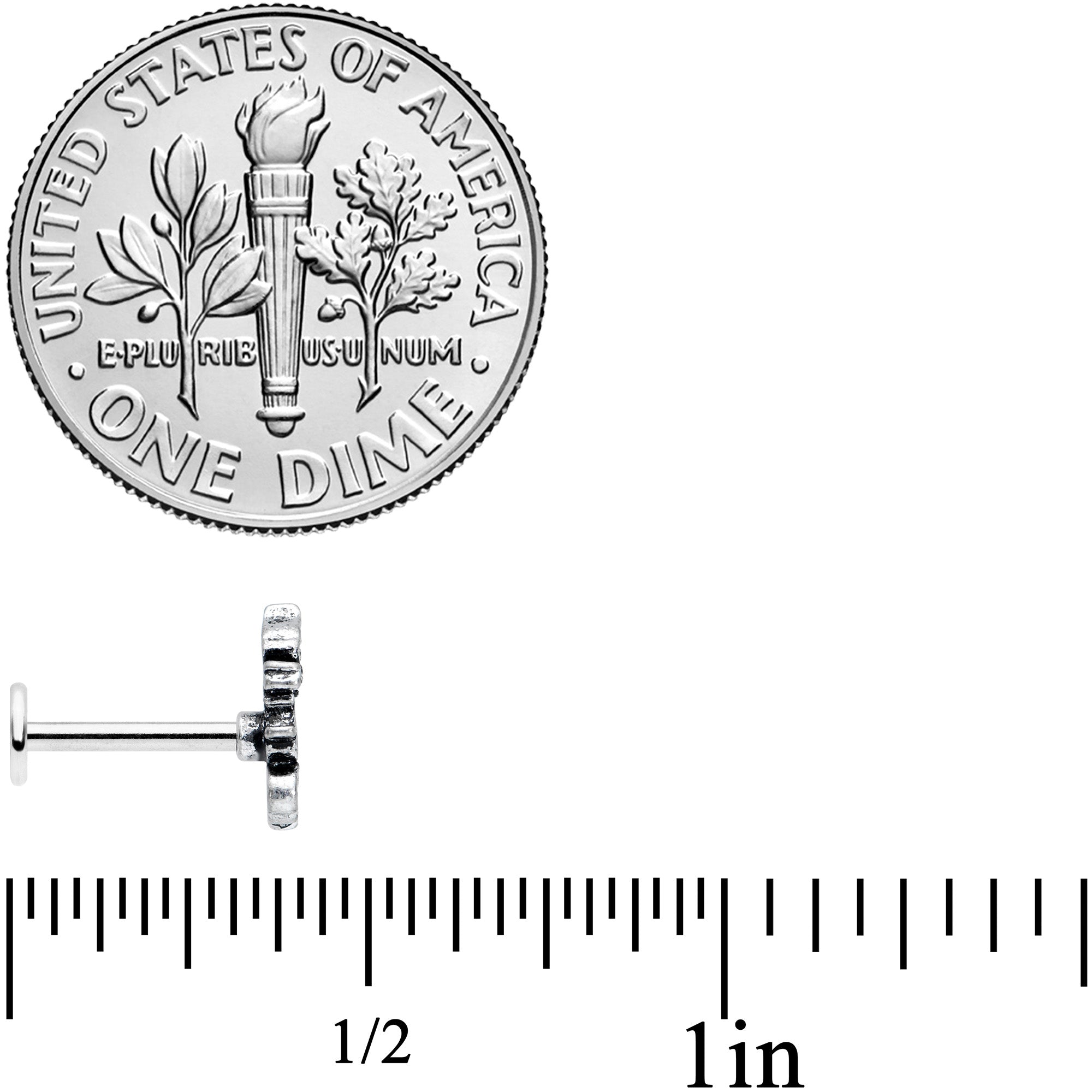 16G 5/16 Regal Medieval Dragon Labret Monroe Tragus