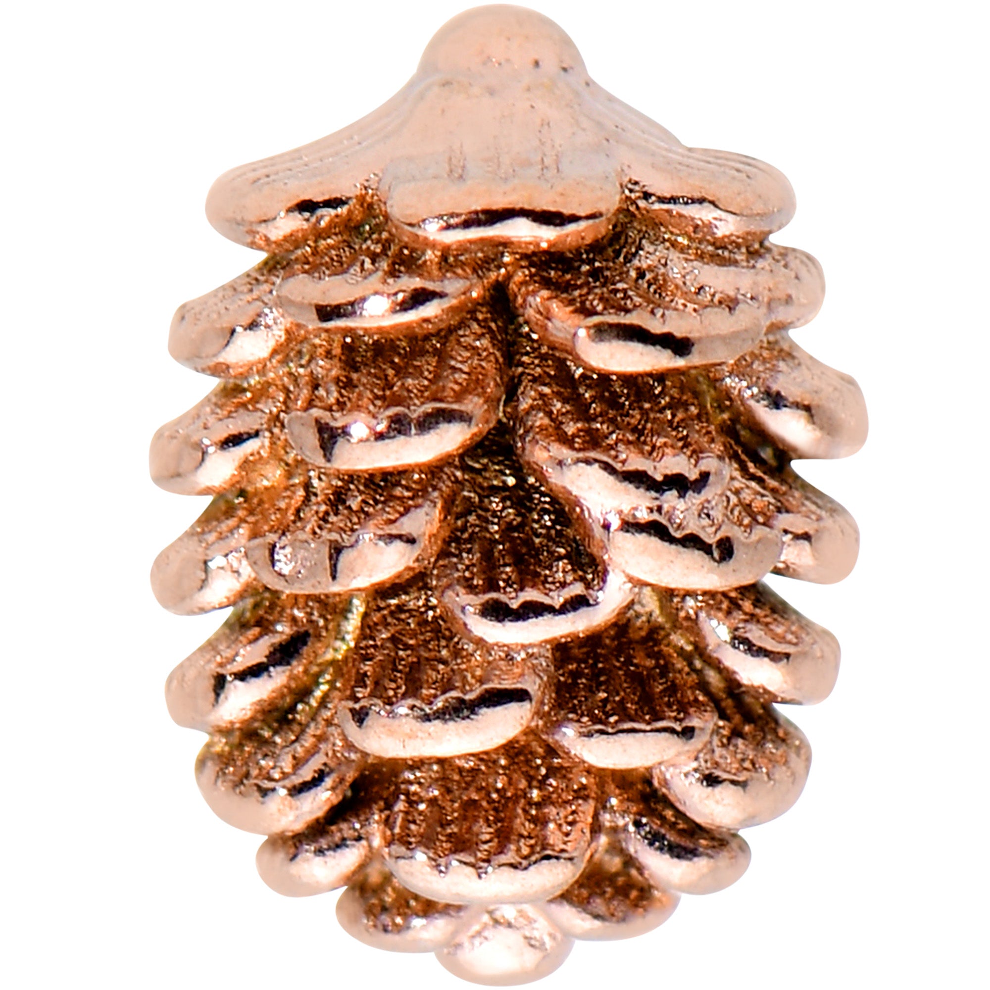 16G 5/16 Autumn Pine Cone Labret Monroe Tragus