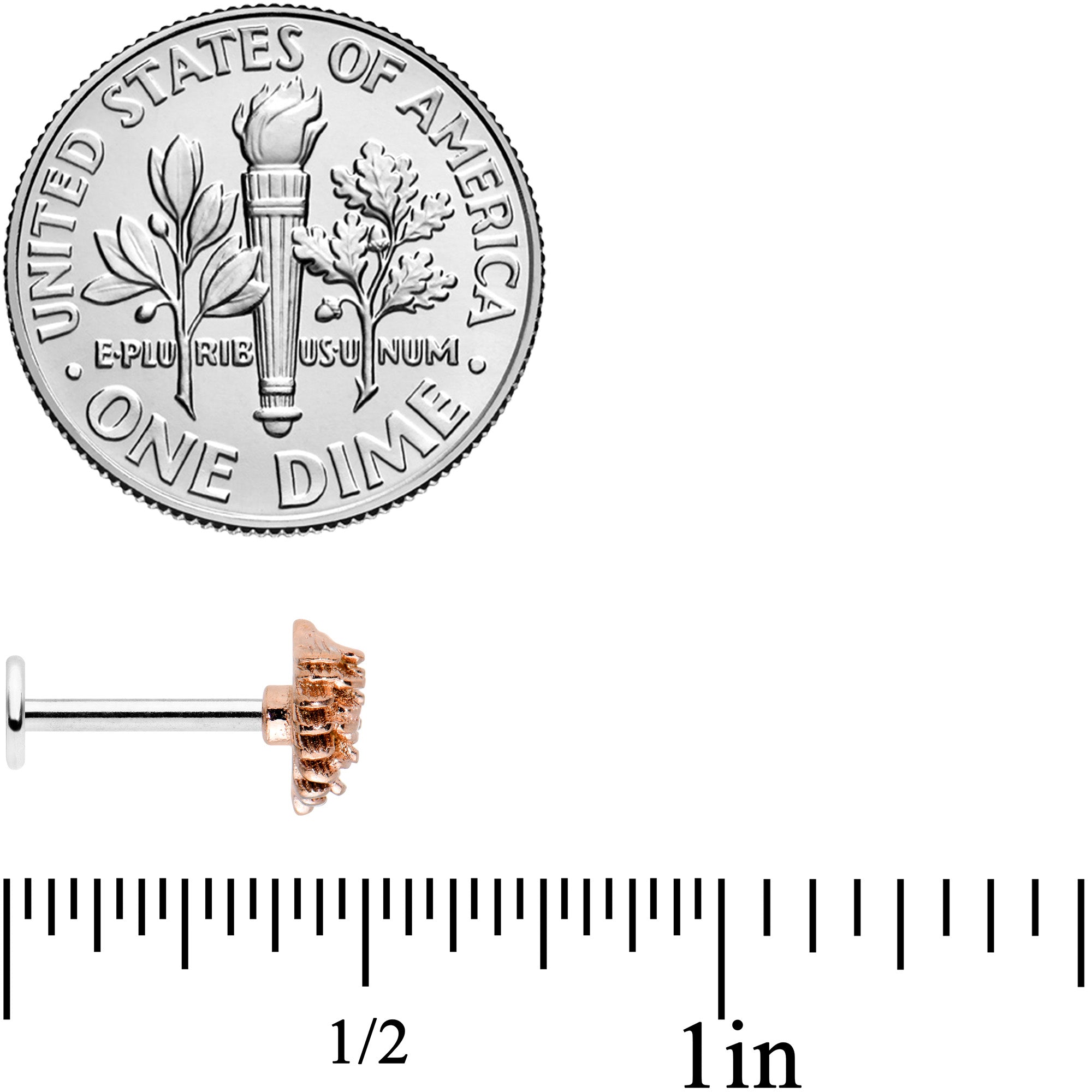 16G 5/16 Autumn Pine Cone Labret Monroe Tragus