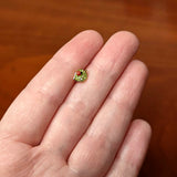 16 Gauge 5/16 Clear Gem Gold Tone Leafy Ladybug Labret Monroe Tragus