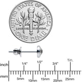4mm Clear Crystal Implant Grade Titanium Stud Earrings